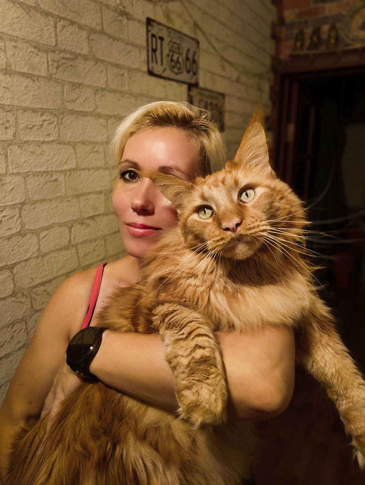 My main coon kitty Vincent Vega.
#kitty #cat #pet #animal #maincoon #redcat #bigcat #photo #portrait #nothingphone