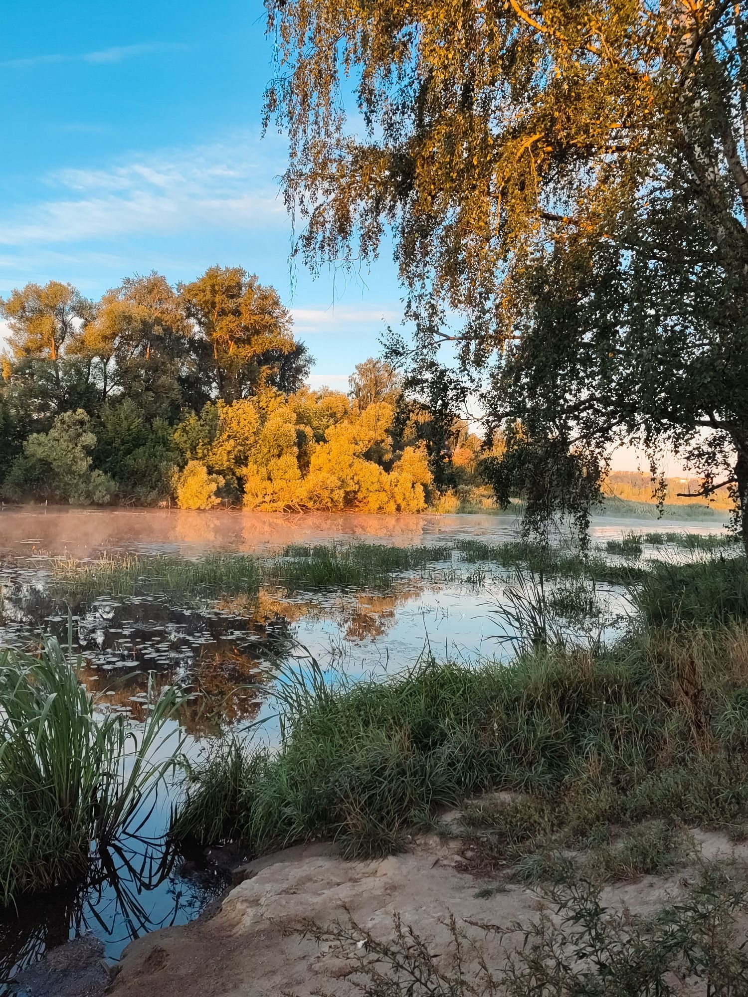 #River #morning #sky #photo #nothingphone #summer #August #landscape #mobilephoto