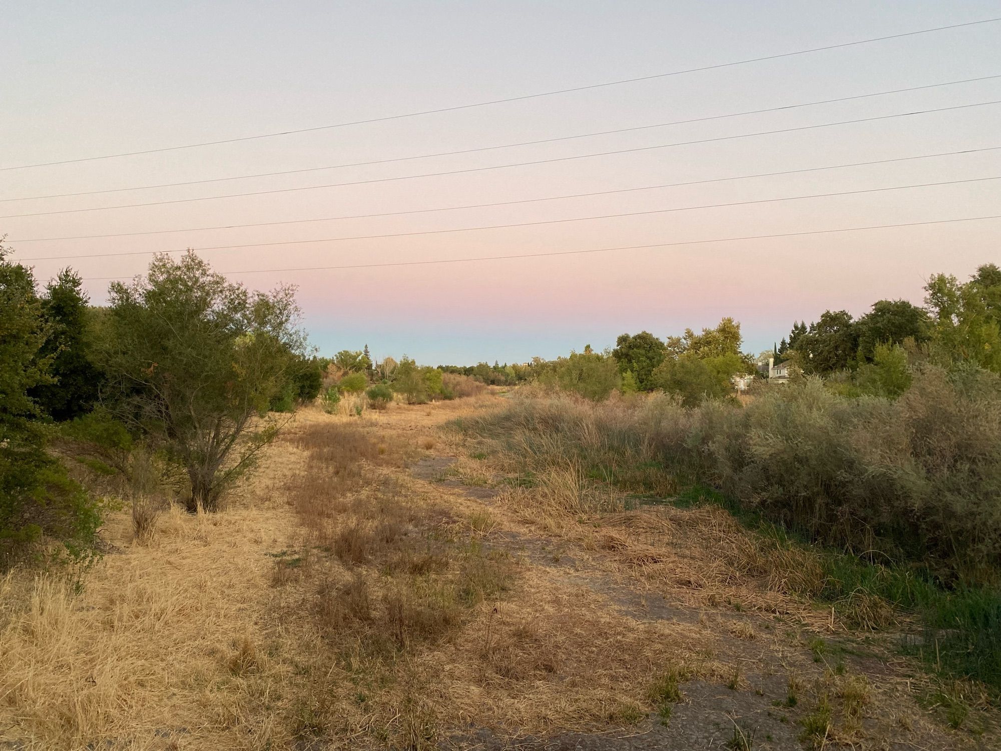 Landscape photo looking out over a dry creek filled with dry grasses, bordered with bushes on the sides. The sky is a light grey, fading to pink and then dark grey toward the horizon. The sky is crossed by power lines.