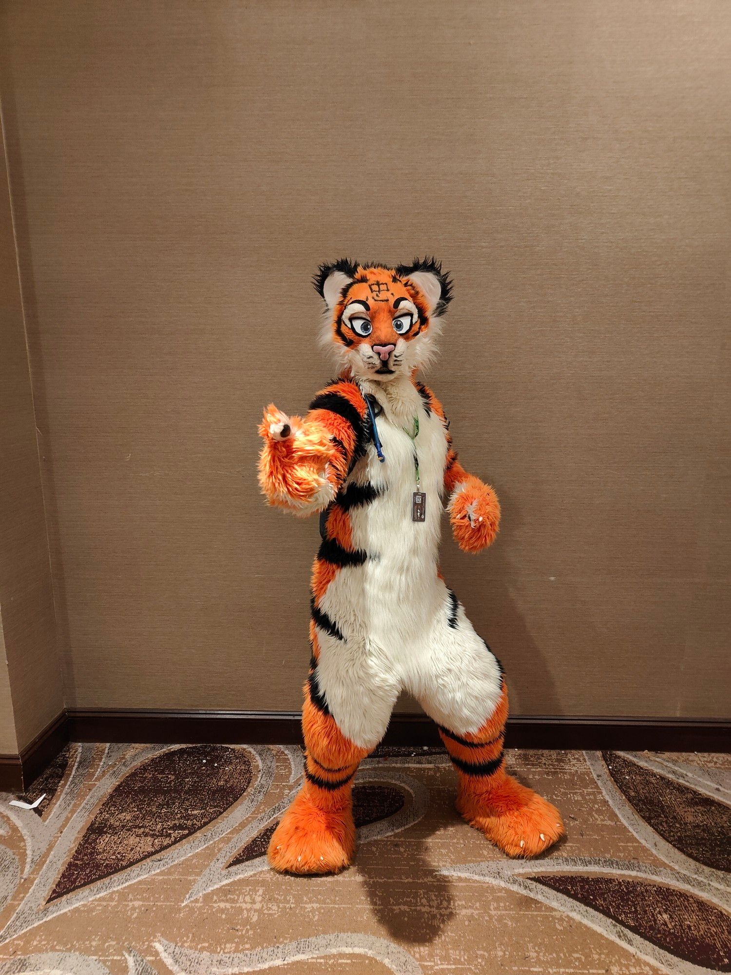 Zedd the tiger posing in the hallway at Bewhiskered with one arm outstretched.