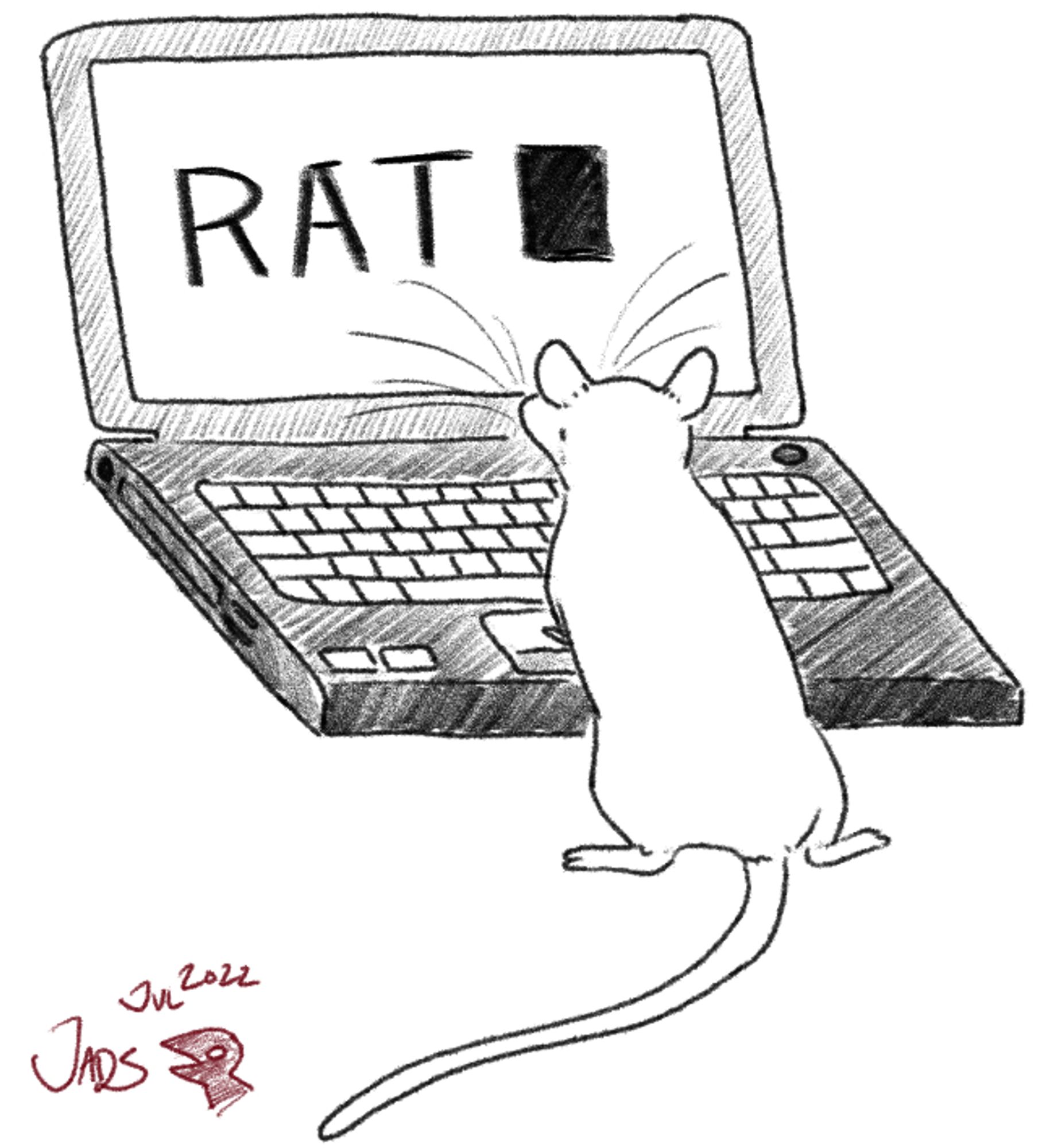 a rat leaning with its front paws on the trackpad of a laptop. the screen has "RAT" and a terminal cursor in huge text showing.