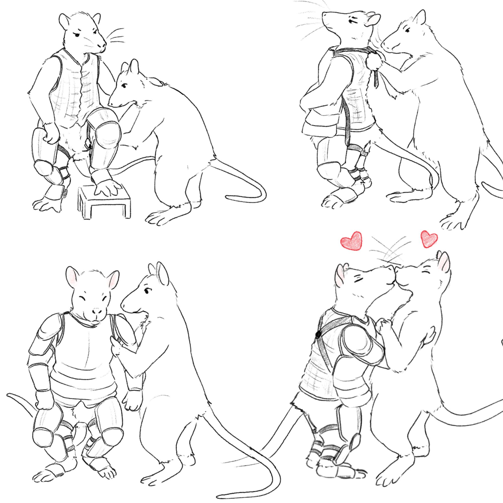 four panel sequence. 1: rat with a quilted shirt and leg plate armor stepping up onto a stool. another rat is helping to secure the armor around the first rat's thigh. 2: The helper rat is tying a strap around the shoulders of the first to secure a plat over the chest of the first rat. 3: the helper rat is securing straps around the shoulder of the first rat. 4: the two rats are kissing