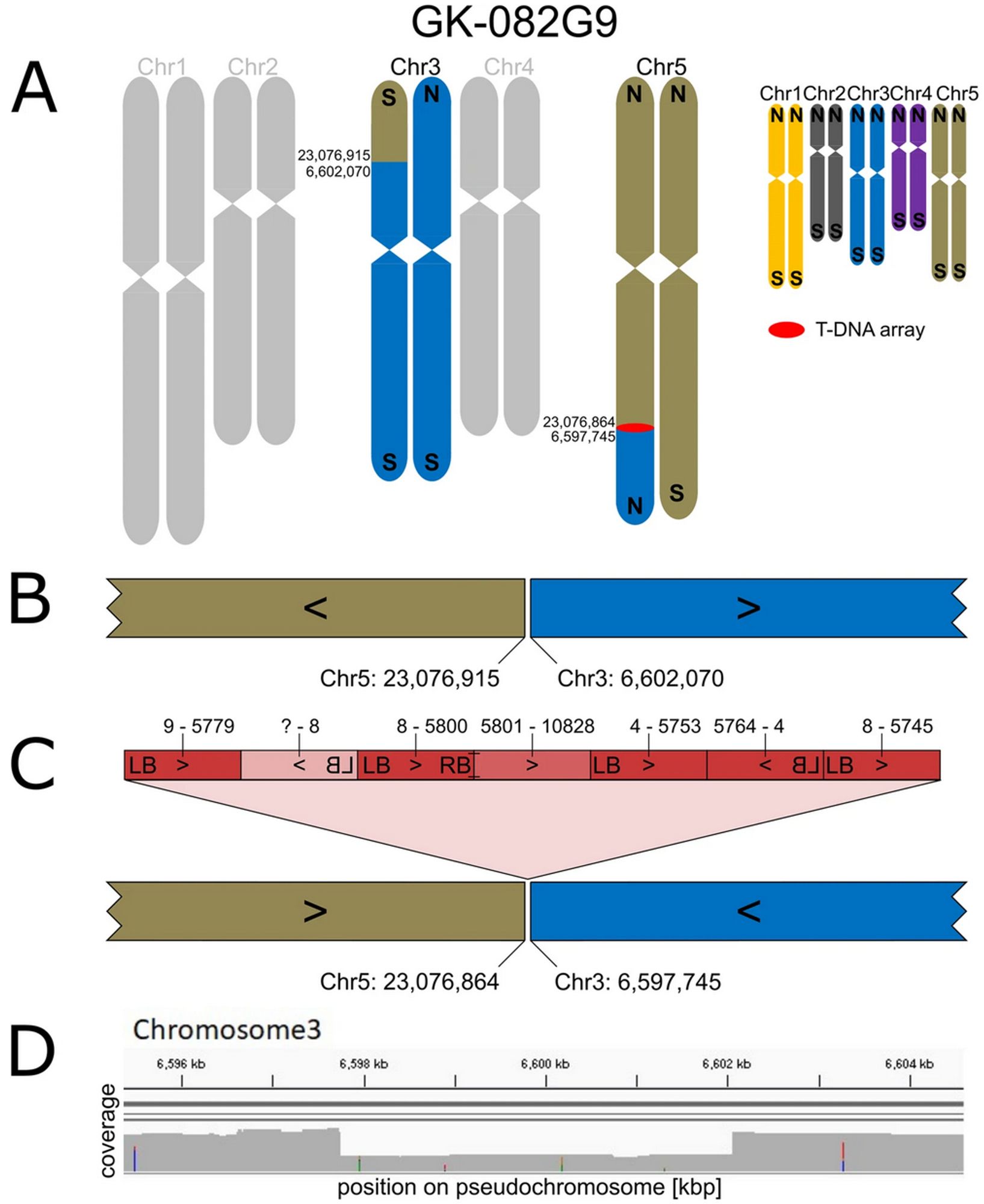 Figure taken from https://doi.org/10.1186/s12864-021-07877-8