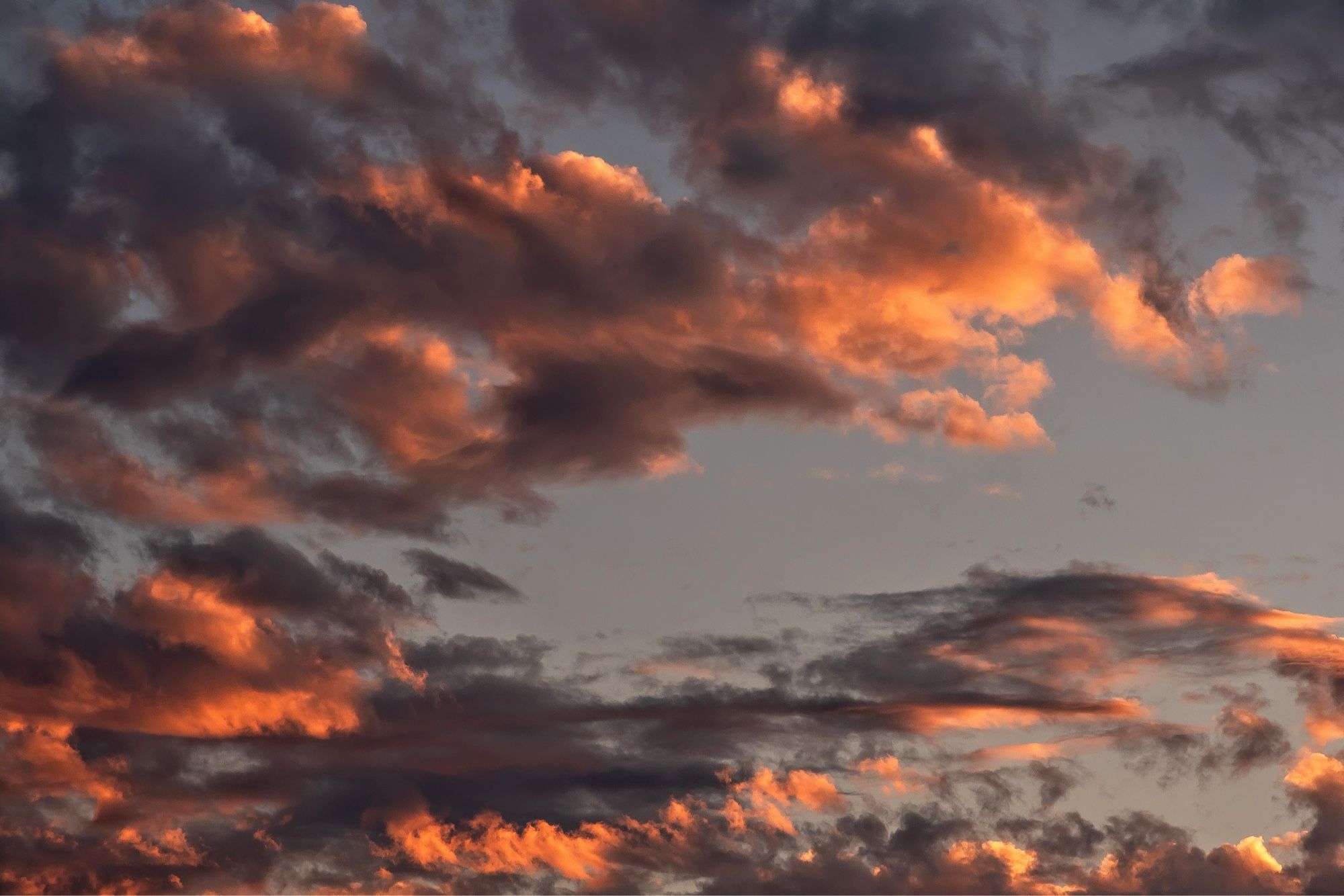 Orange-flecked clouds dance across the sky just after sunset over London, Ontario, Canada.