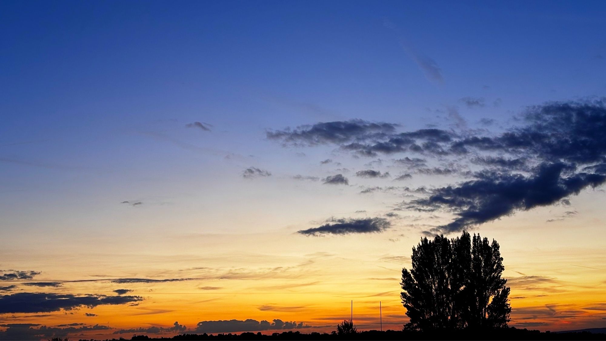 Dusk melting away into a silhouette landscape