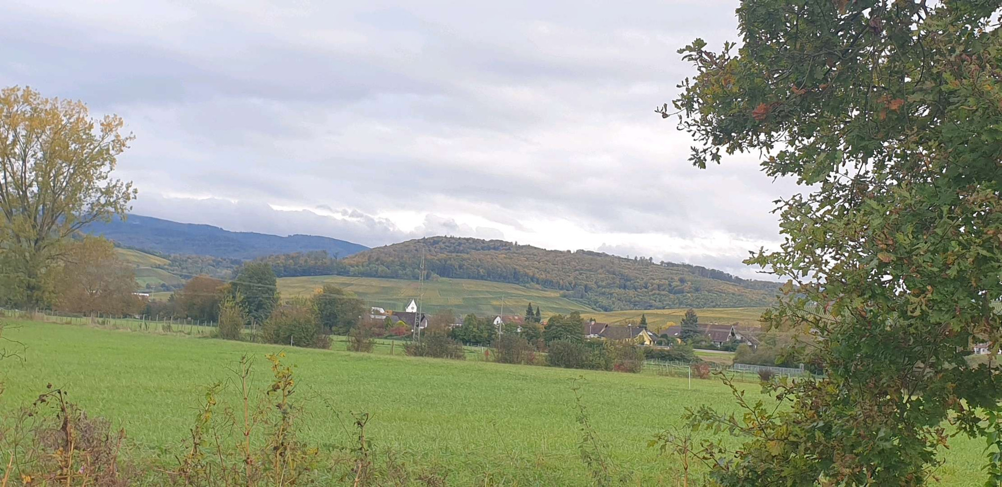 Seitlicher Blick auf ein grünes Feld, dahinter Büsche und Bäume und der Ort ist zu sehen, darüber die Berge mit Reben und Bäumen in Herbstfarben und der graue Himmel.