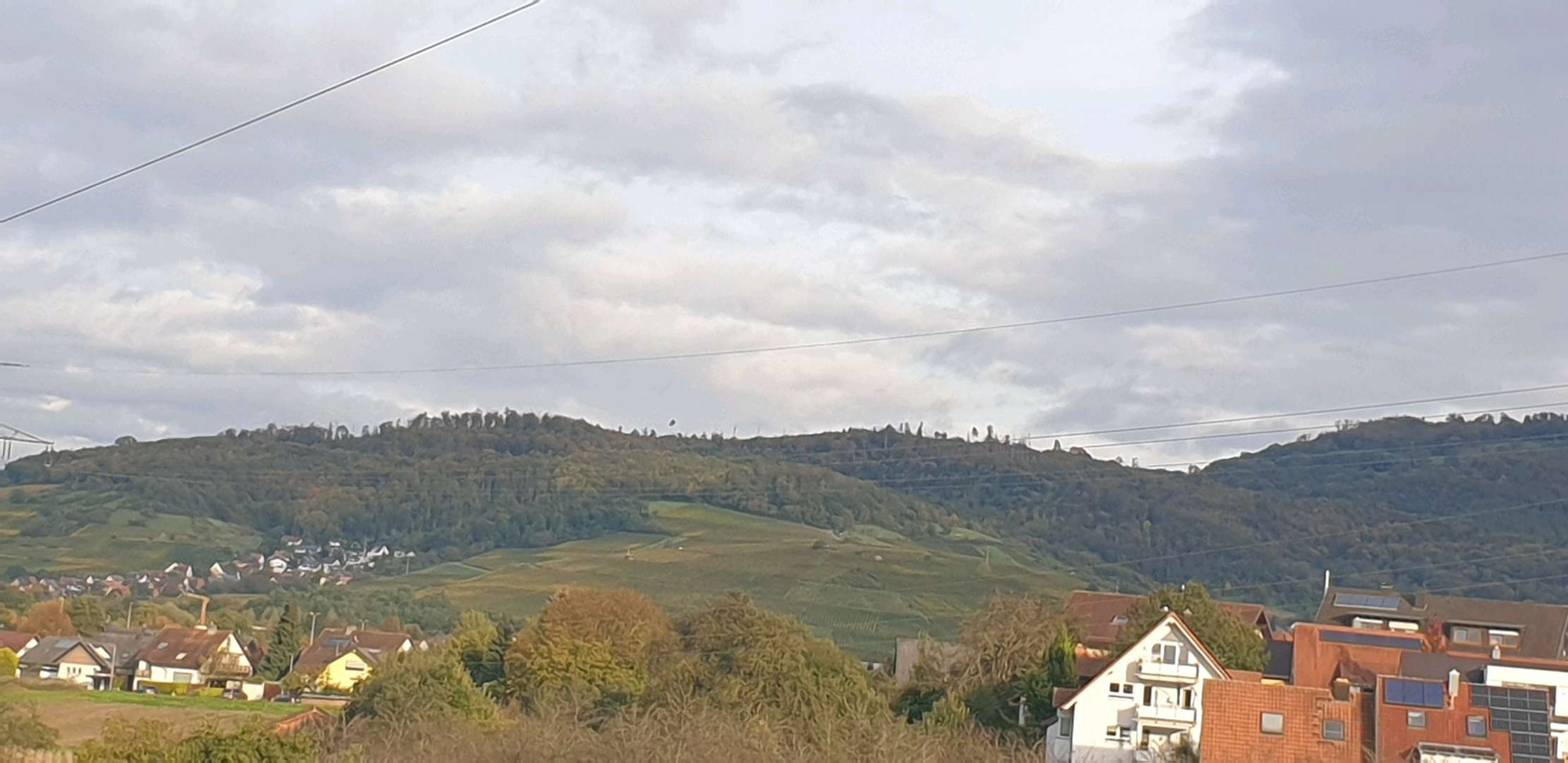 Blick auf die Berge, mit Reben, im Vordergrund seitlich noch Häuser, der Wald auf dem Berg und viele Wolken.Im Vordergrund noch Spitzen von Bäumen zu sehen.