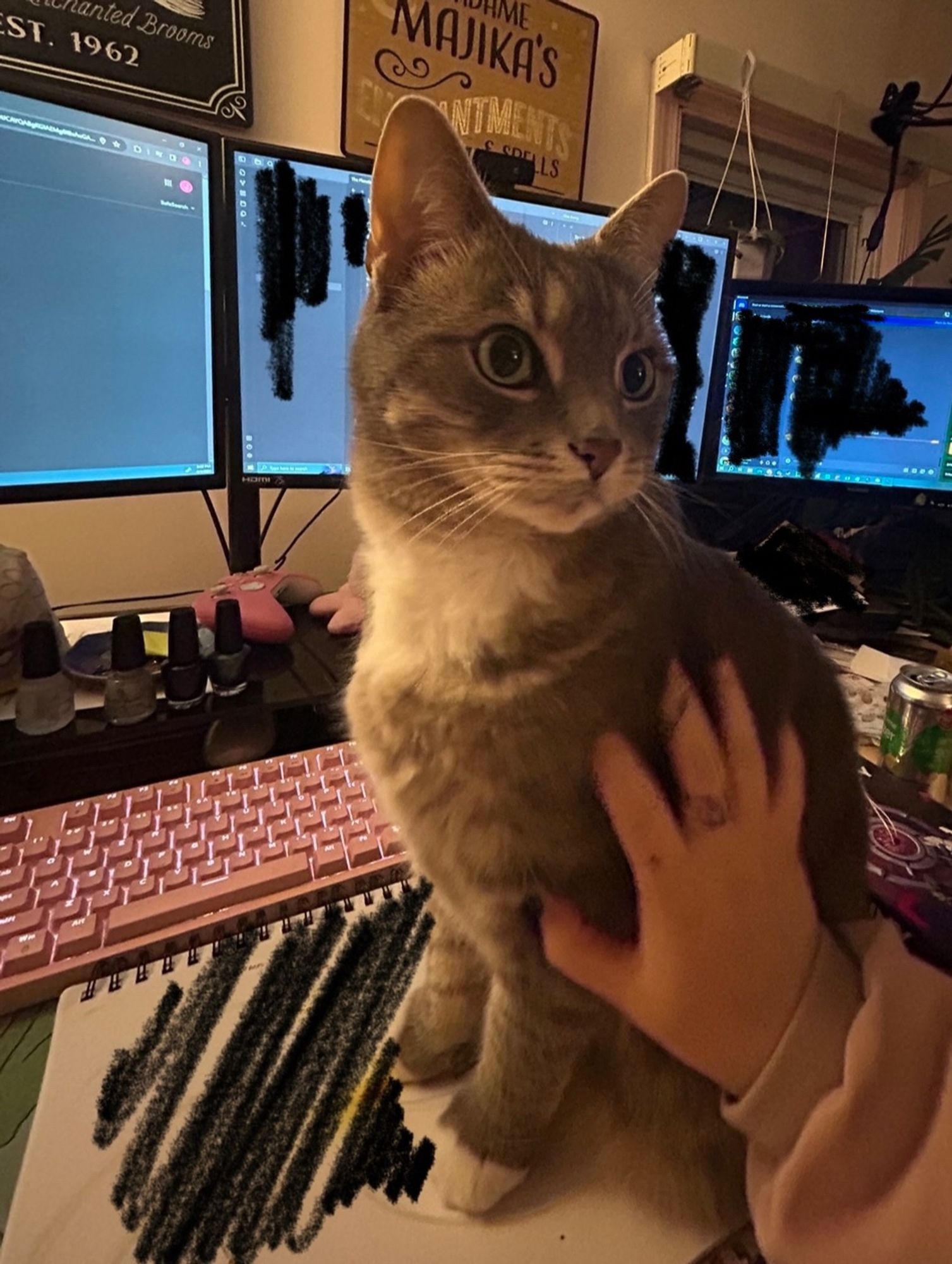 Large shameless cat sitting directly on a notebook and in the way of the keyboard on a desk where a hard working ttrpg gm is attempting to write their next campaign but cannot do so around the cat.