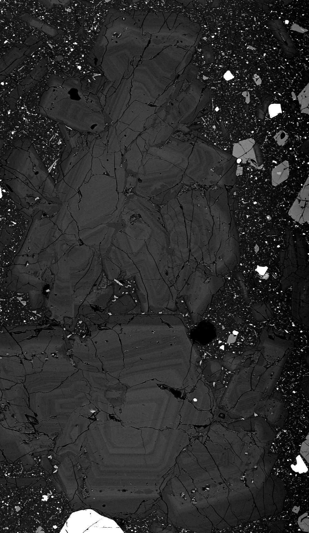 BSE image of highly zoned plagioclase crystals