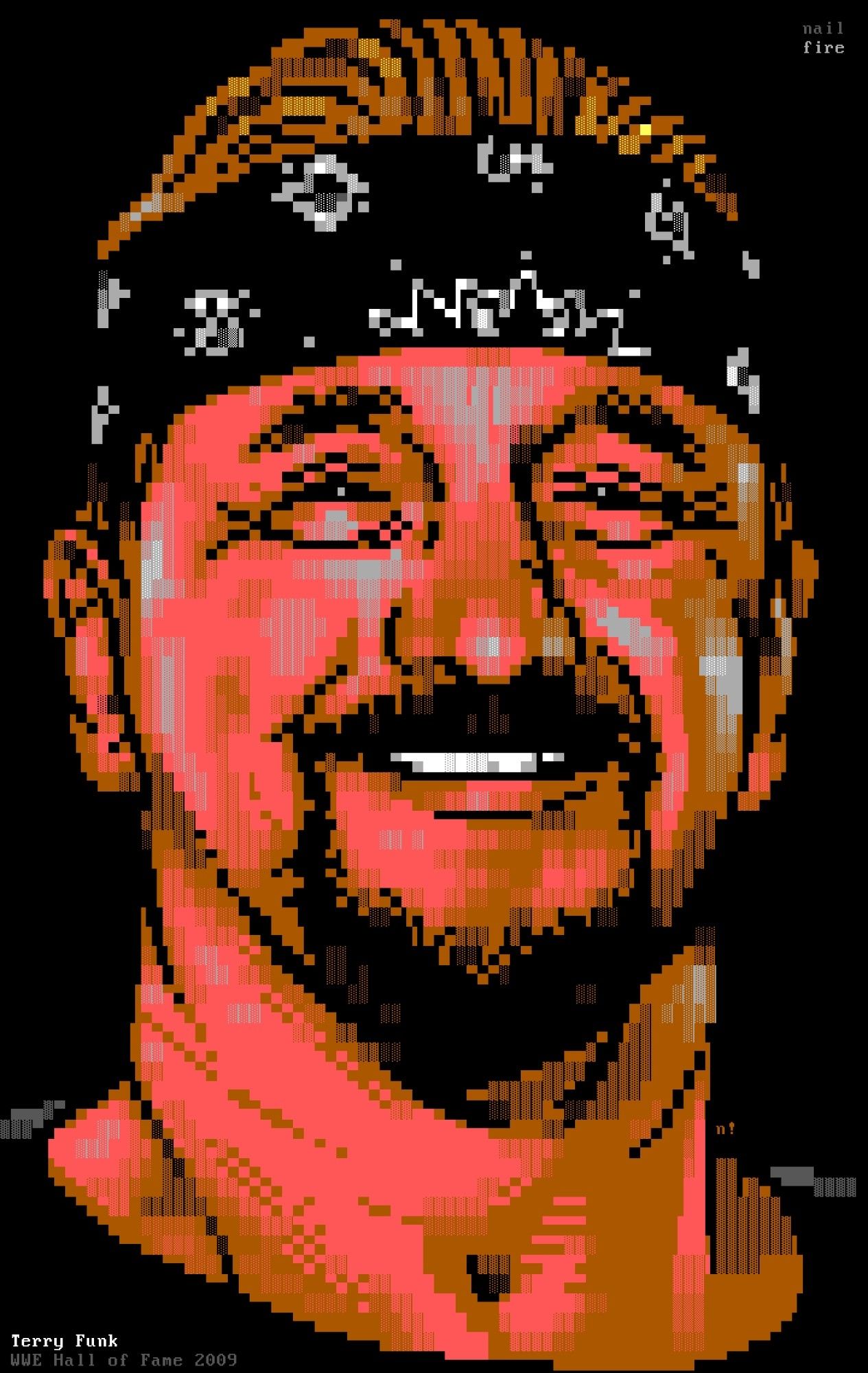 ANSI textmode portrait of Terry Funk