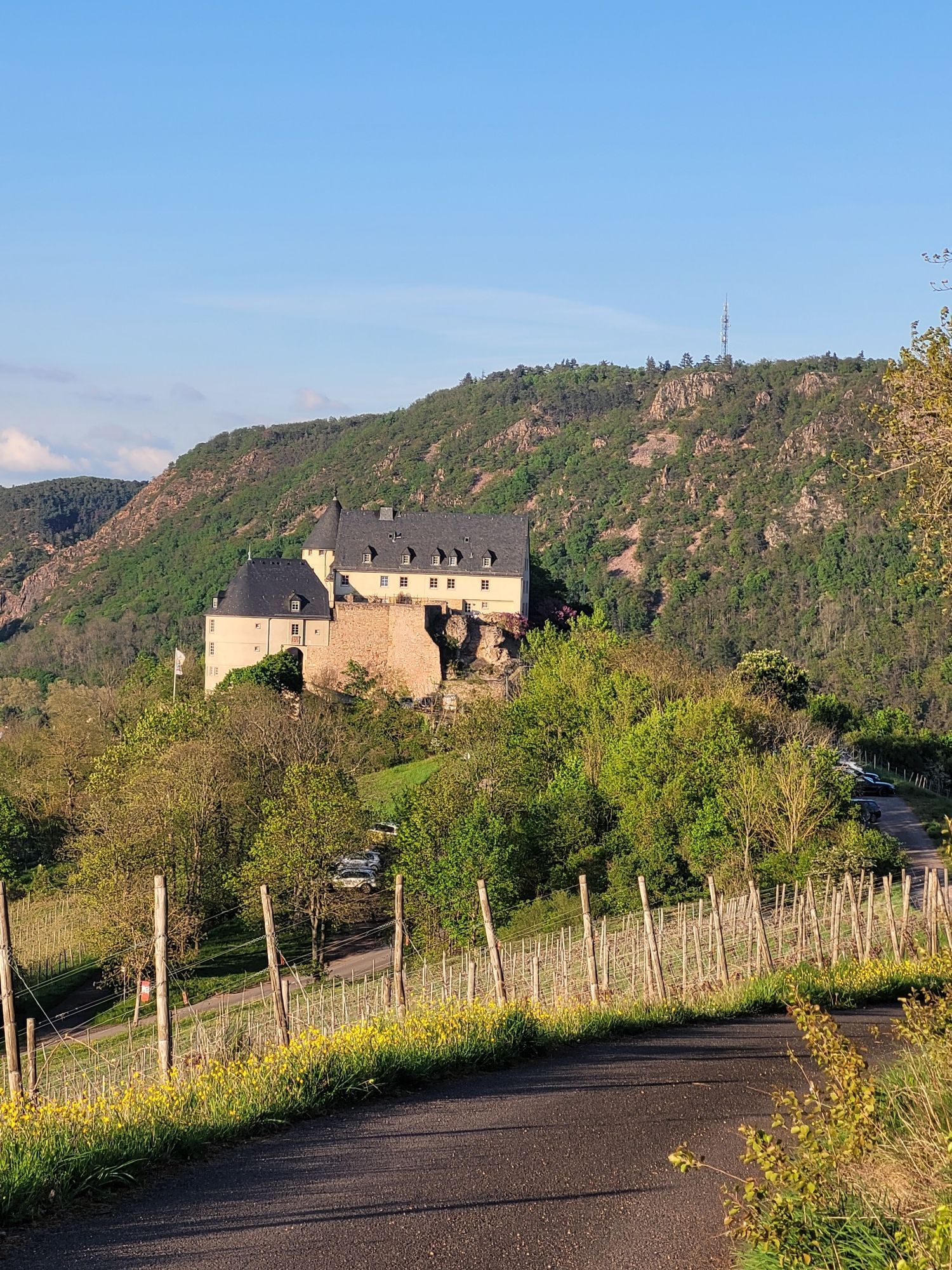 Eine Ansicht der Ebernburg.  Im Vordergrund ein Stück Wanderweg und ein Weinberg.
Im Hintergrund ein begrünten Berg und blauer Himmel