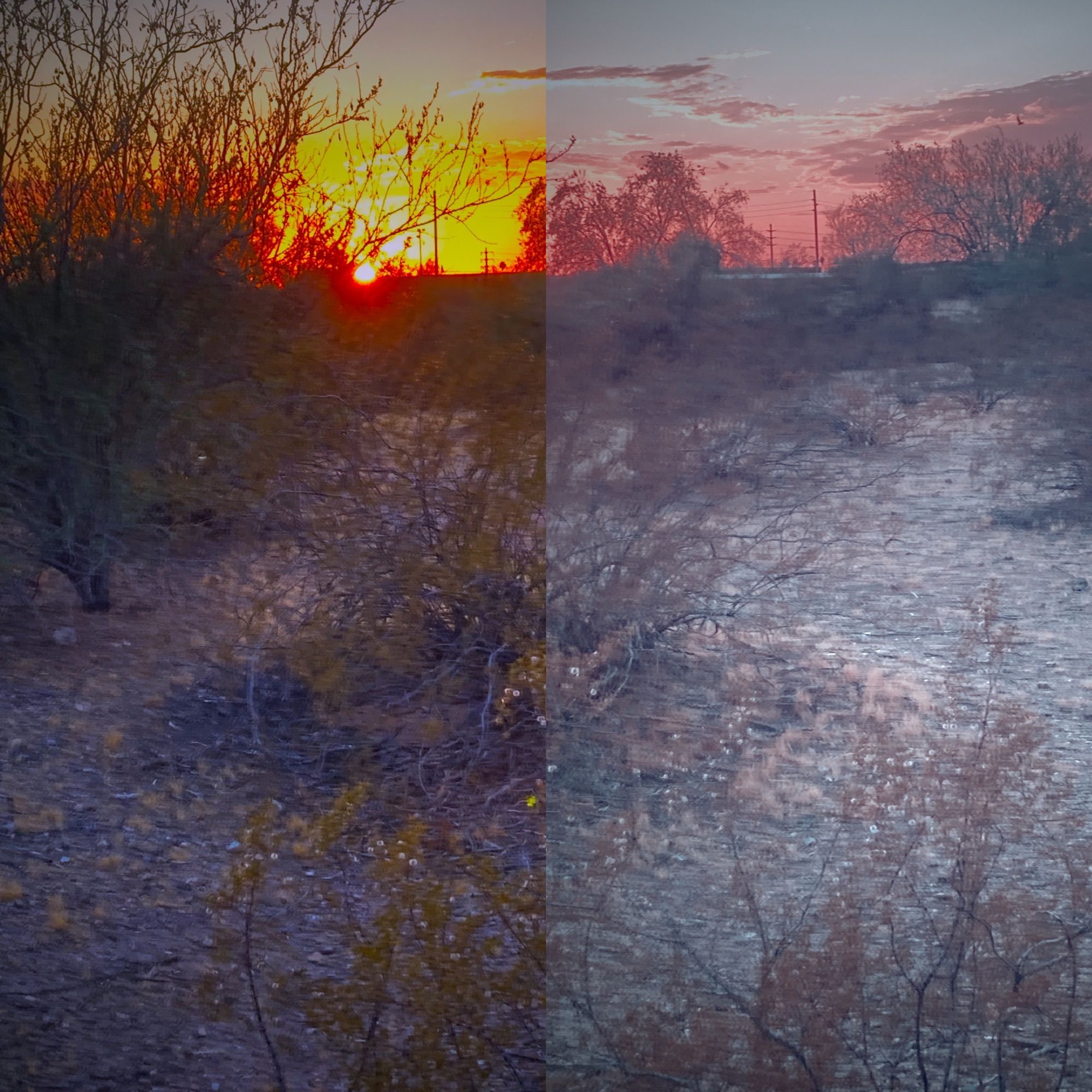 Two split filters of brilliant sunset