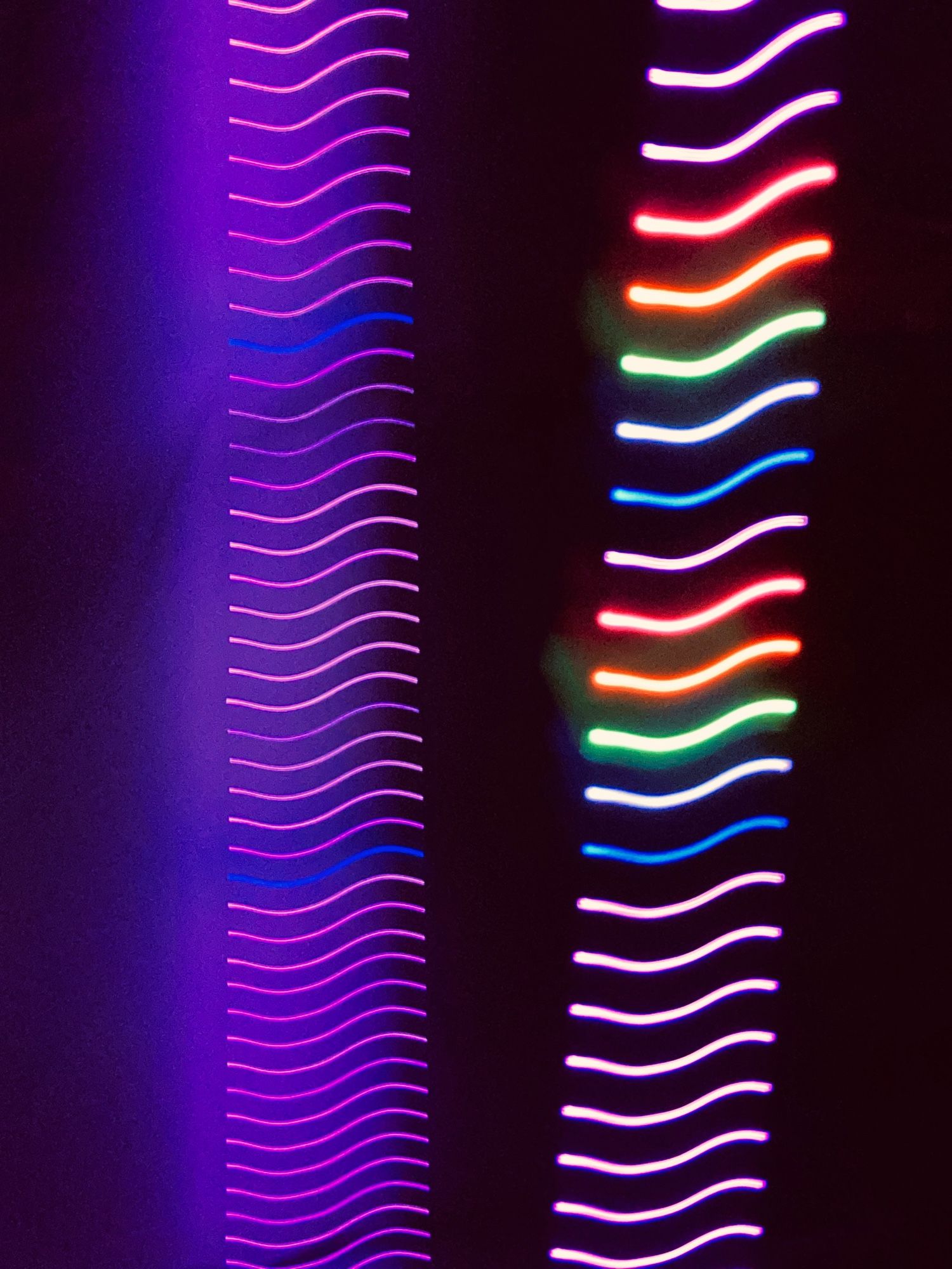 Neon lights separated by air in wavy color lines. A purple blurry background radiantly fills the extra space.
Artist:BillyButler