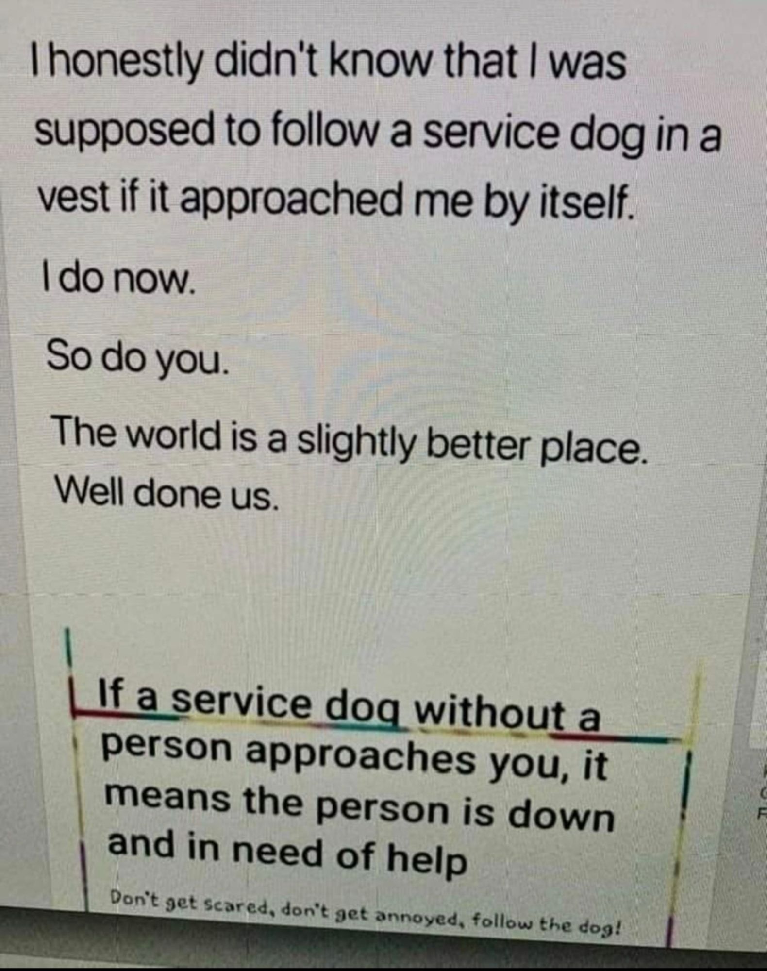 I honestly didn't know that I was supposed to follow a service dog in a vest if it approached me by itself. 
I do now.
So do you.
The world is a slightly better place. We'll done us.
If a service dog without a person approaches you, it means the person is down and in need of help. Don't get scared. Don't get annoyed. Follow the dog!