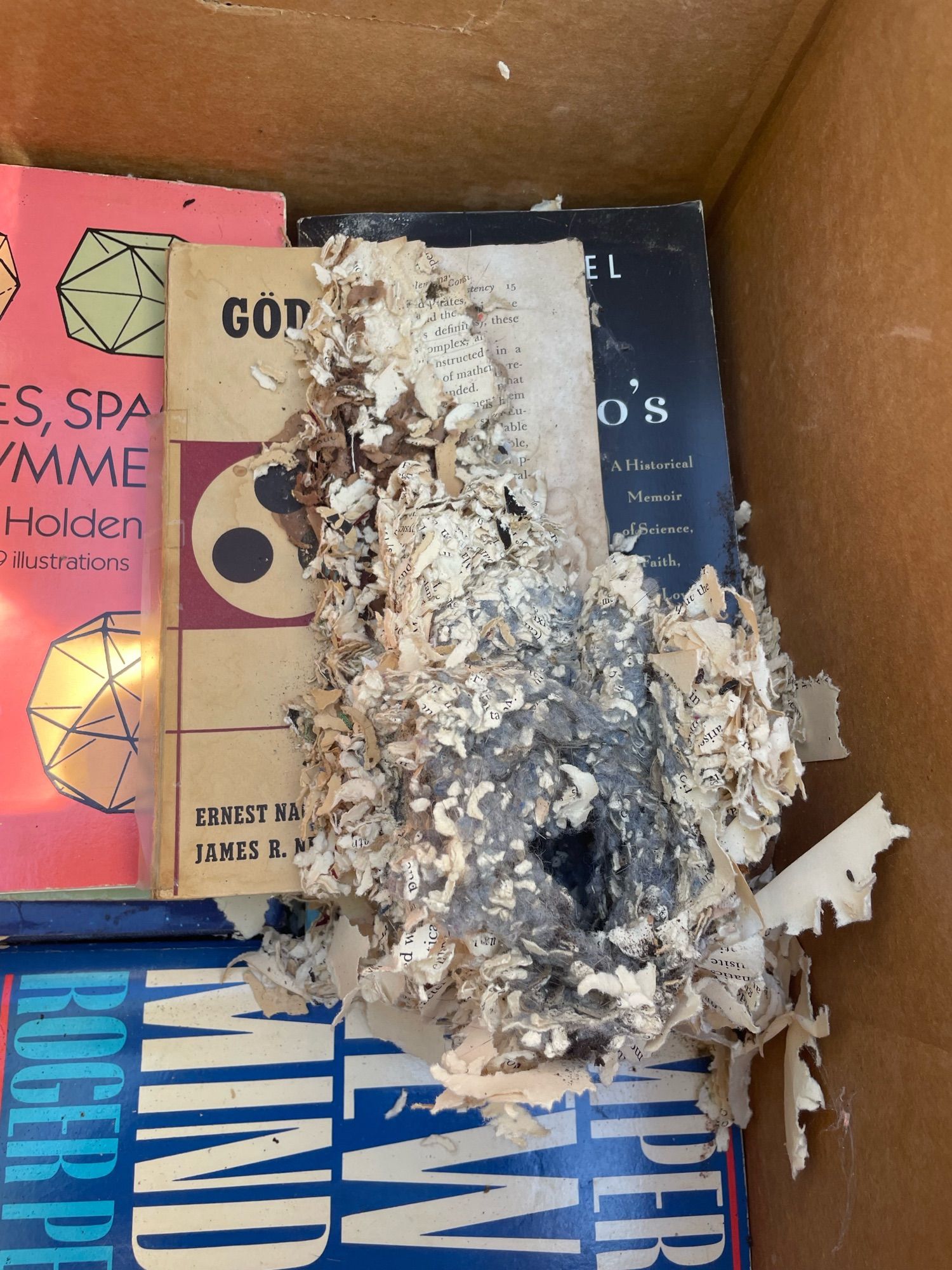 A mouse nest in a box of books - destroying godel’s incompleteness theorem and on top of other math books