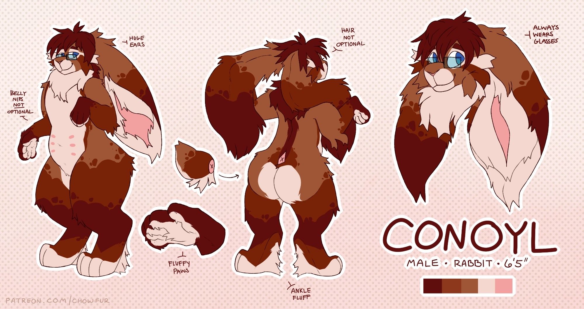 Ref sheet of a soft bunny named conoyl