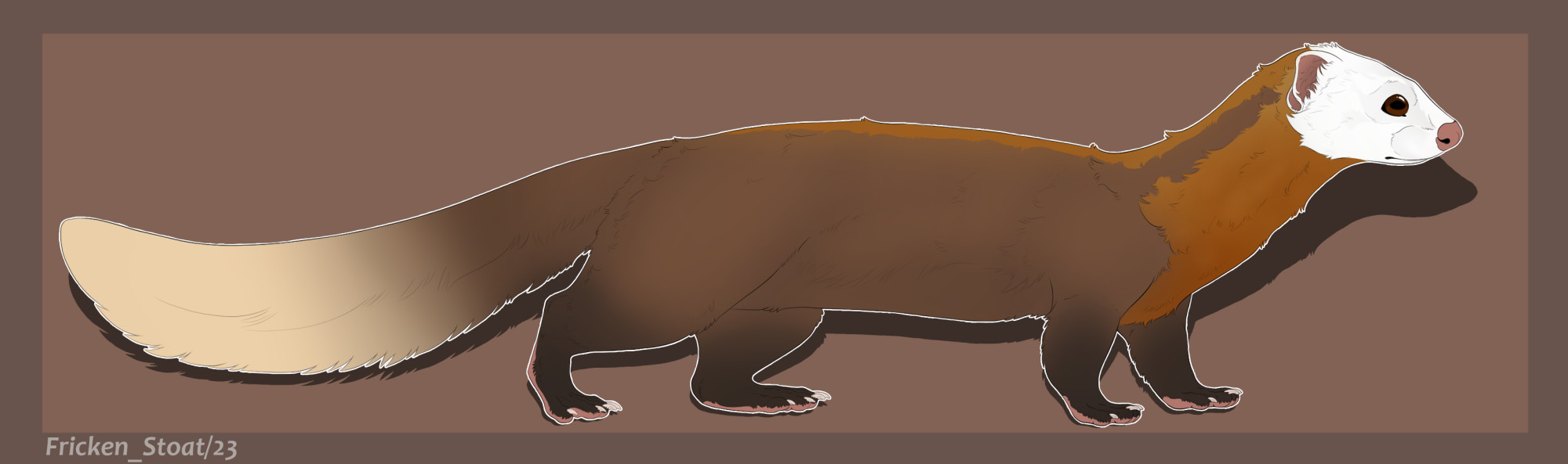 Malayan Weasel - brown variant