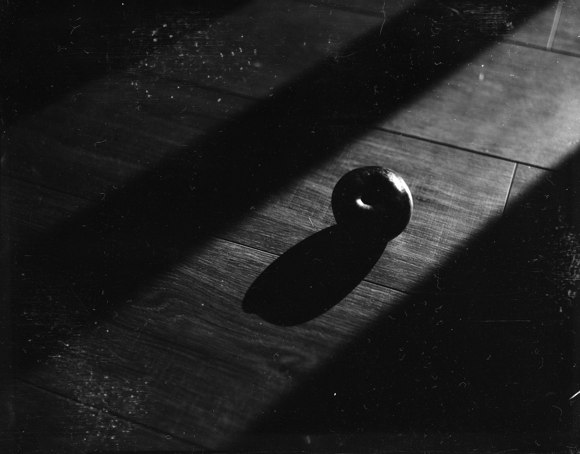 An image of an apple in a sun beam. Taken on 4x5 Grafflex Pacemaker Speed Graphic 45, Optar 127mm/F4.5 Lens, Agfa D2 X-ray Film.