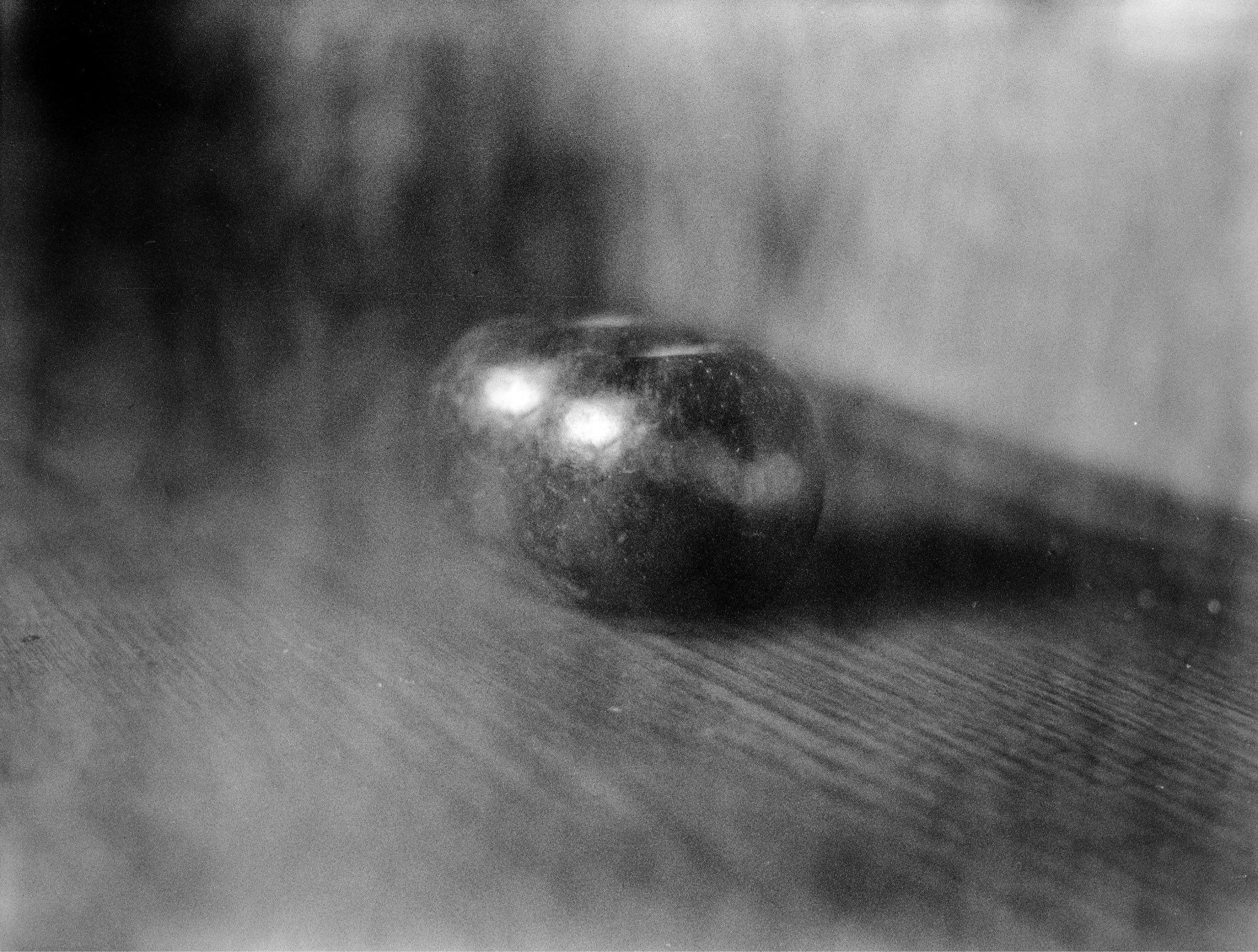 Black and white image of an apple.