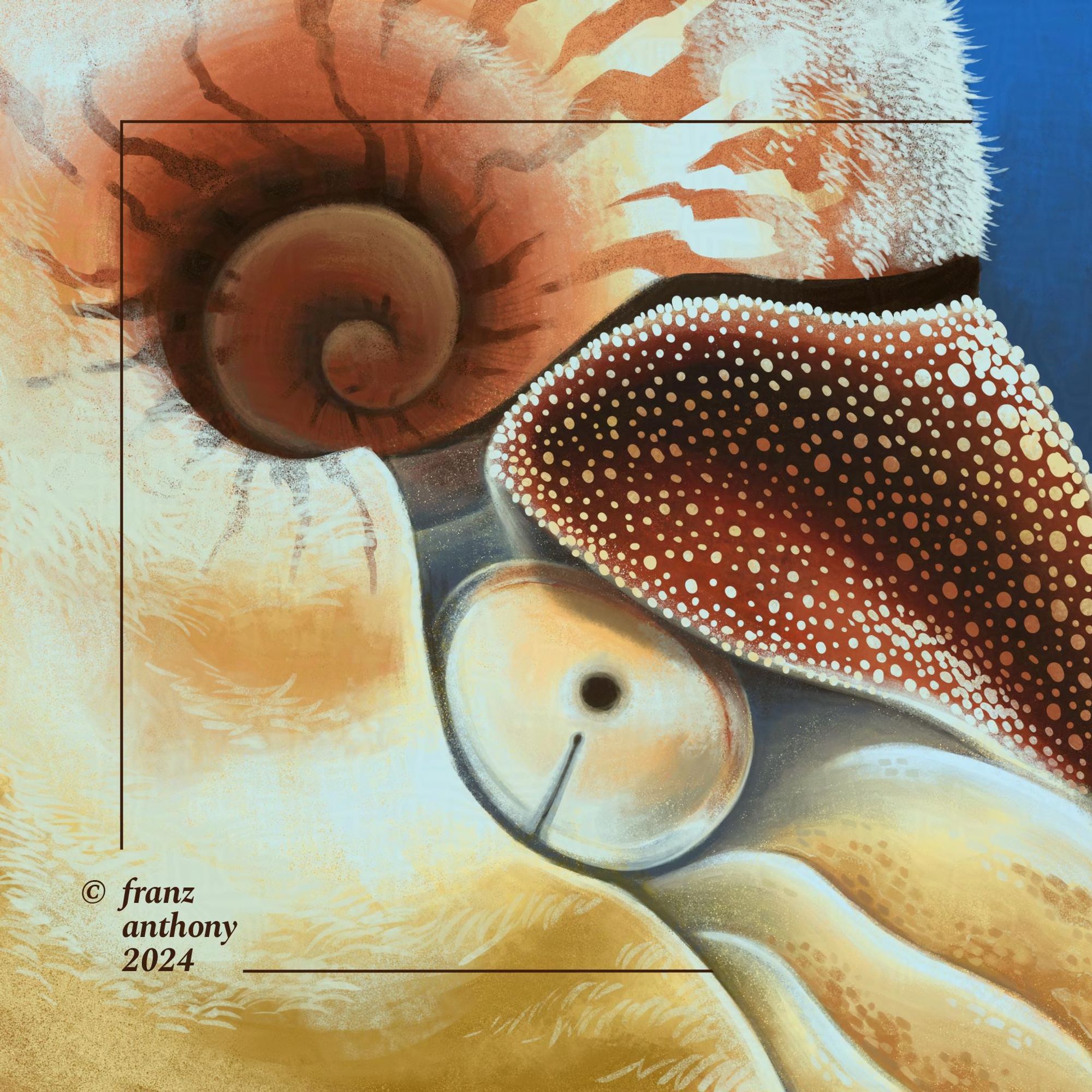 illustrated portrait of a nautilus focusing on the eye and hood