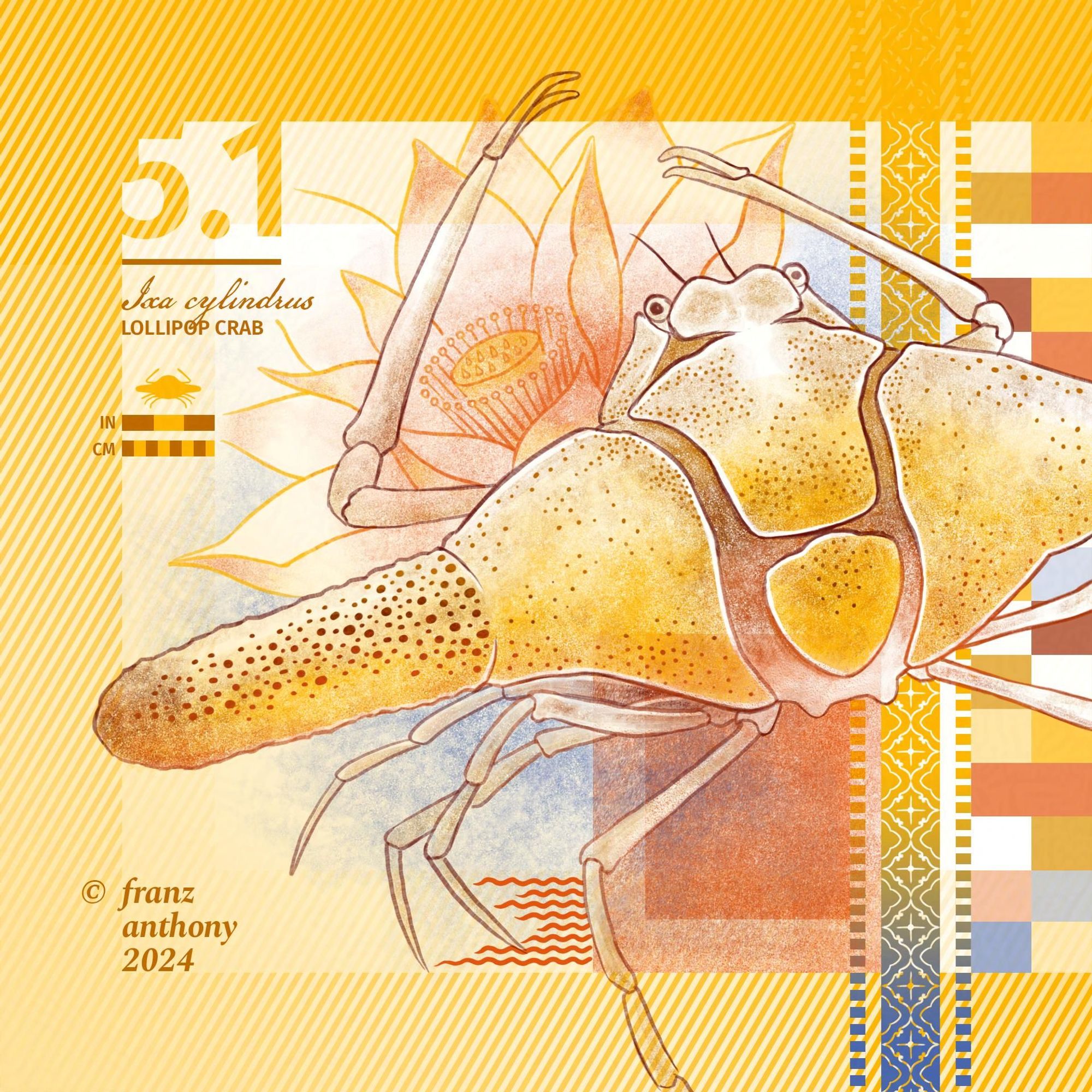 a mostly rhombus-shaped crab with sausages-like projection from the left and right side of its shell, with geometric patterns on the background.