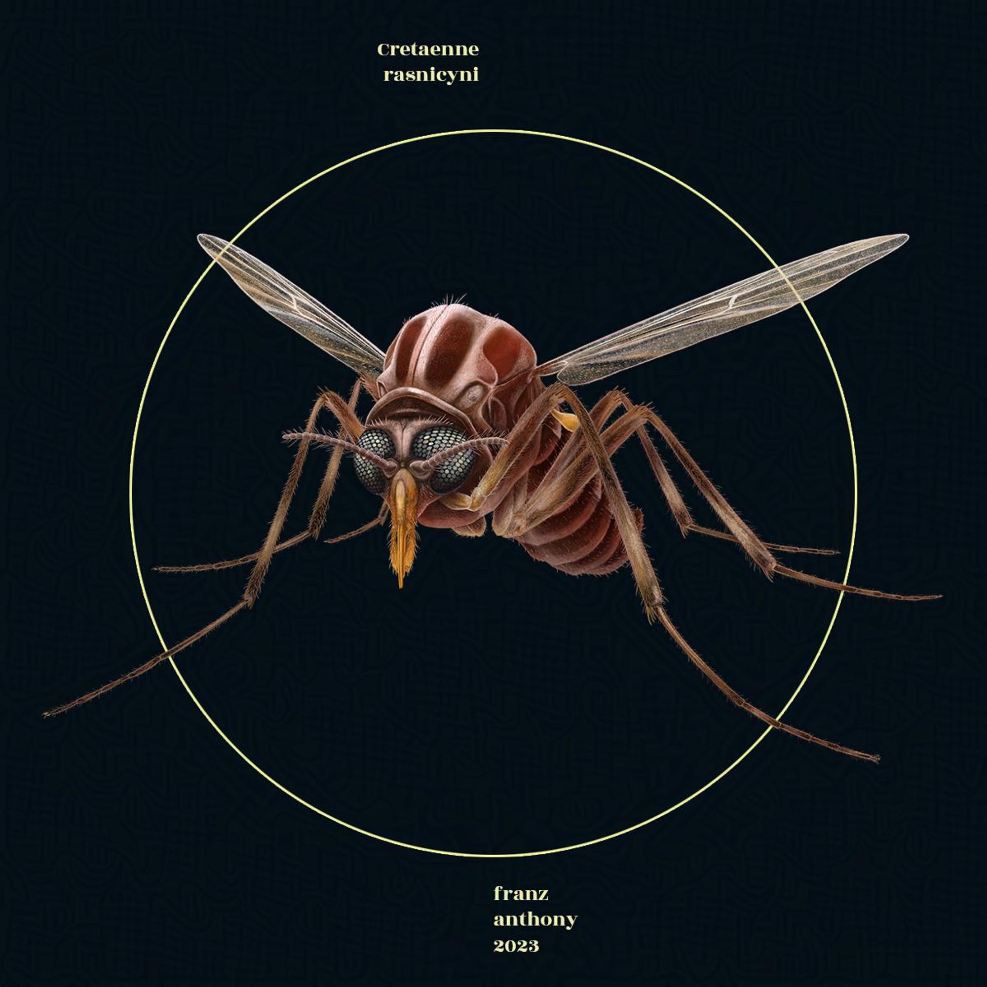 Cretaenne rasnicyni, a midge, somewhat resembling a mosquito, with piercing mouthparts. illustration.