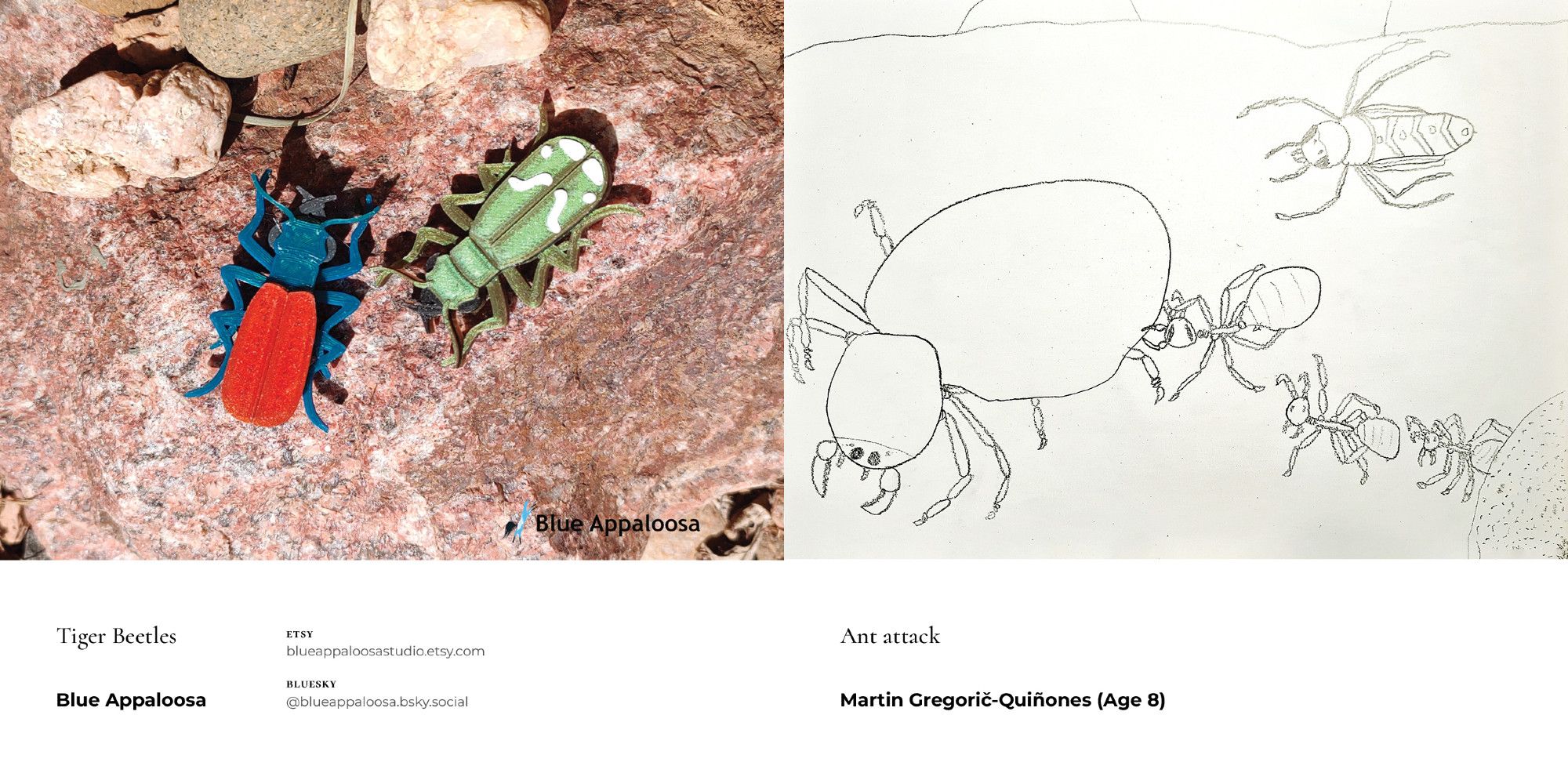 inside spread showing a pair of 3D-printed beetles by Blue Appaloosa and a pencil drawing of several ants attacking a spider by Martin Gregorič-Quiñones (Age 8)