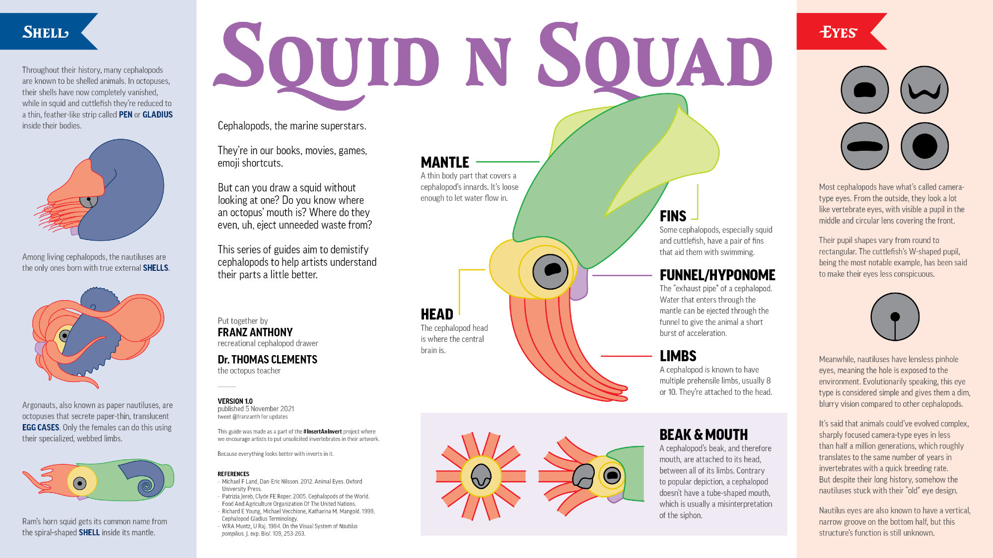 complex cephalopod anatomy guide primarily concerning the basic anatomy, eye shape, and how some of them are shelled while most are naked