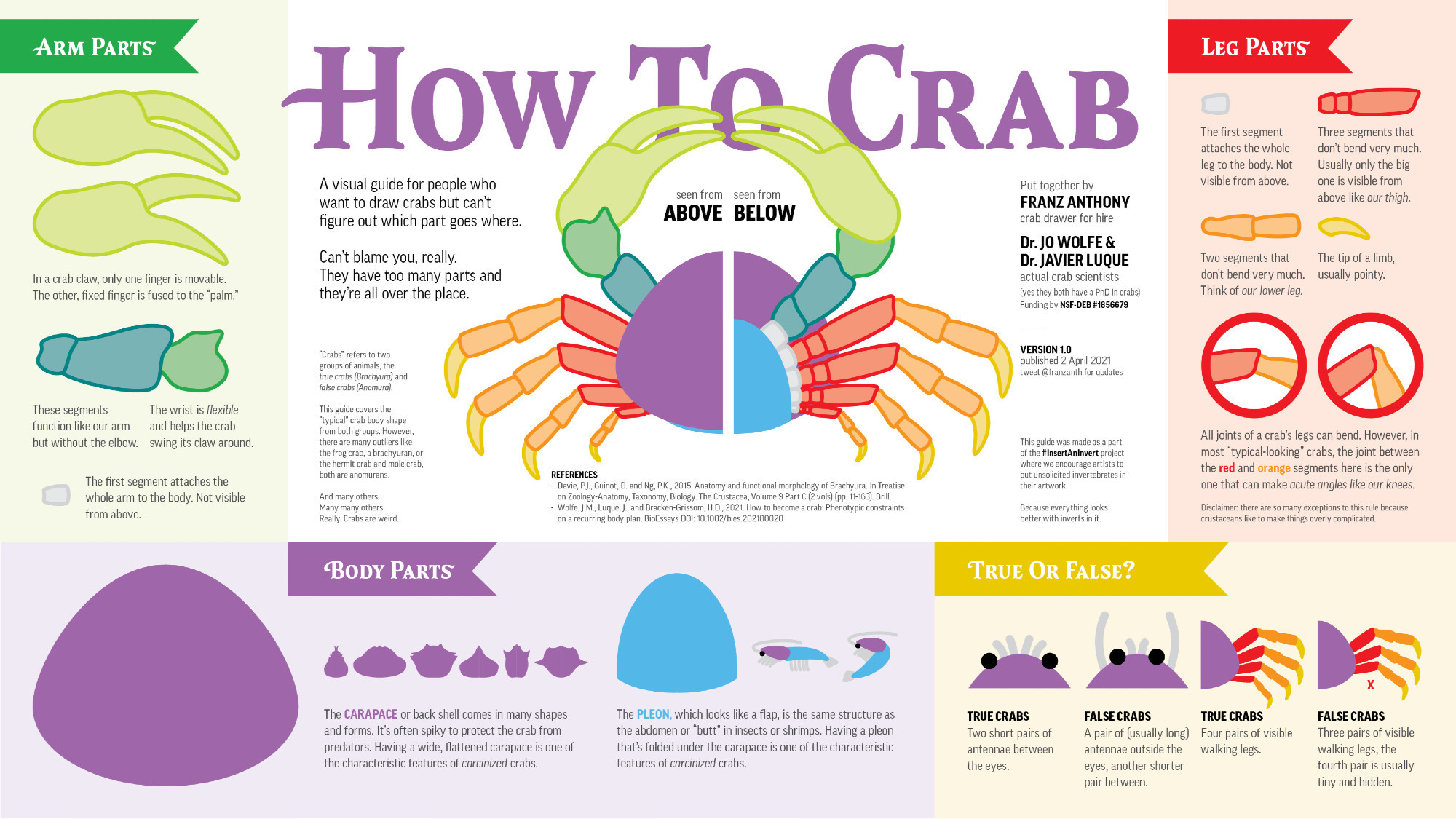 complex crab anatomy guide, covering the basic parts of the arms, legs, body shape, and tail.