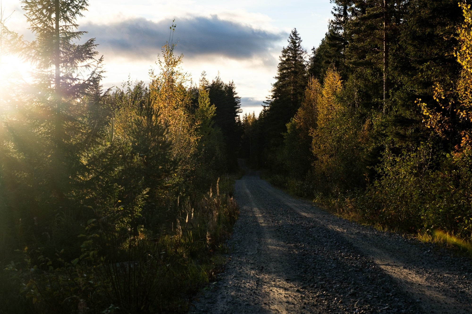 Country road