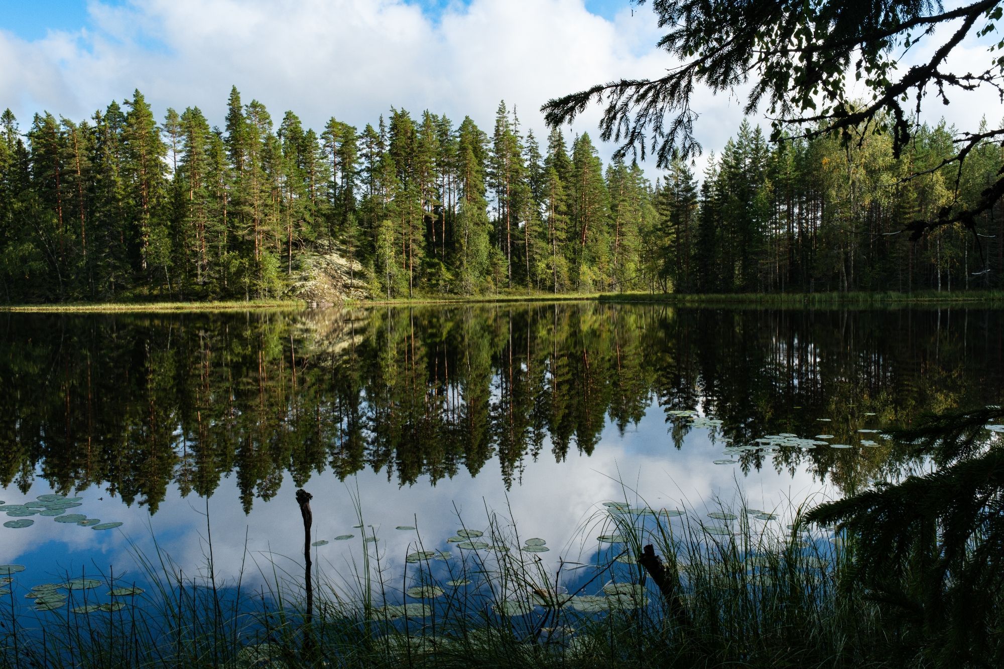 Scenery from Orivesi Finland