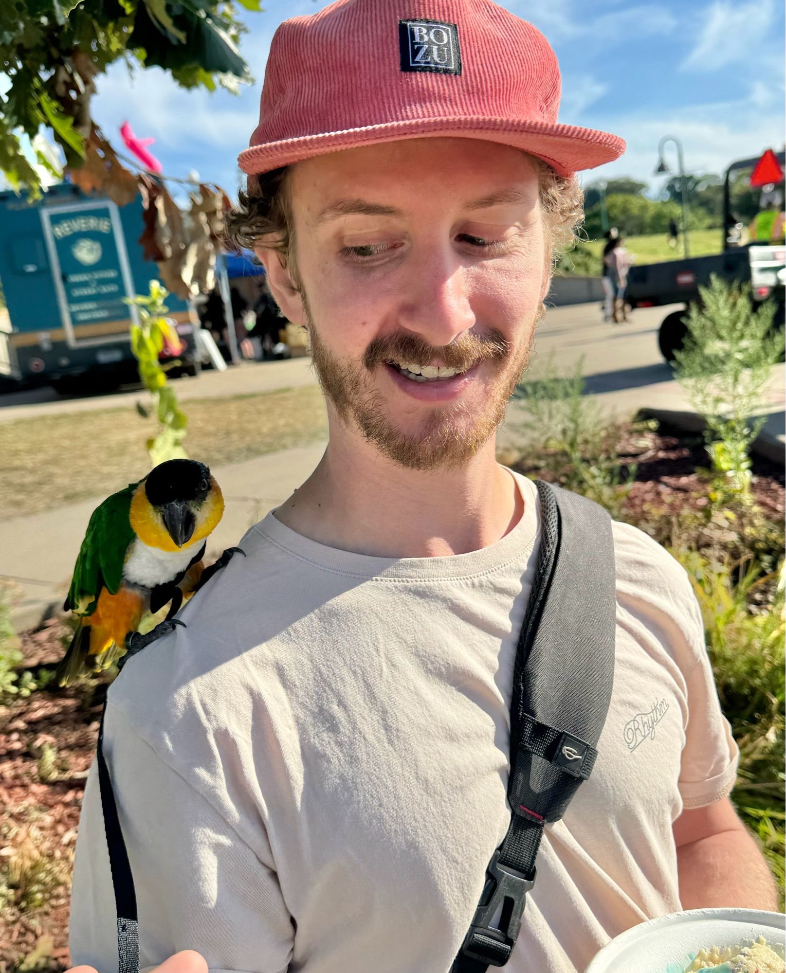 Izzy the black headed parrot makes the acquaintance of a VegFest attendee