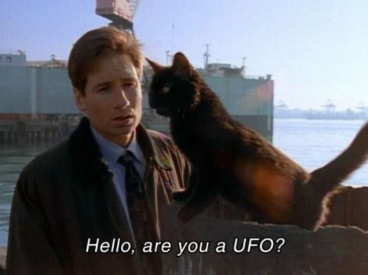 fox mulder, the x files, arquivo x