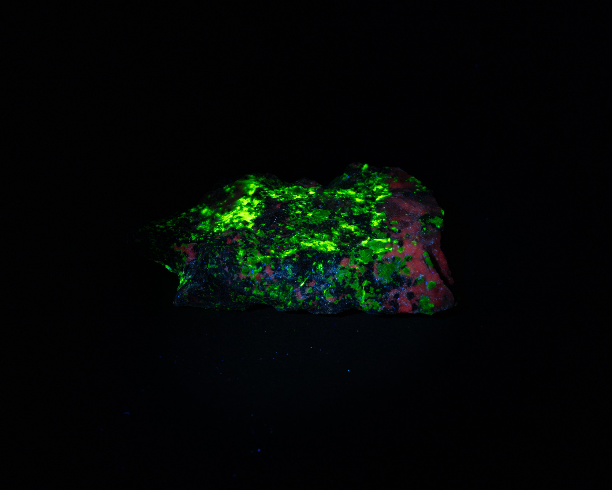 A rock lit up with a long wave UV light. It has what is probably green willemite and pink calcite, but is mainly green splotches.