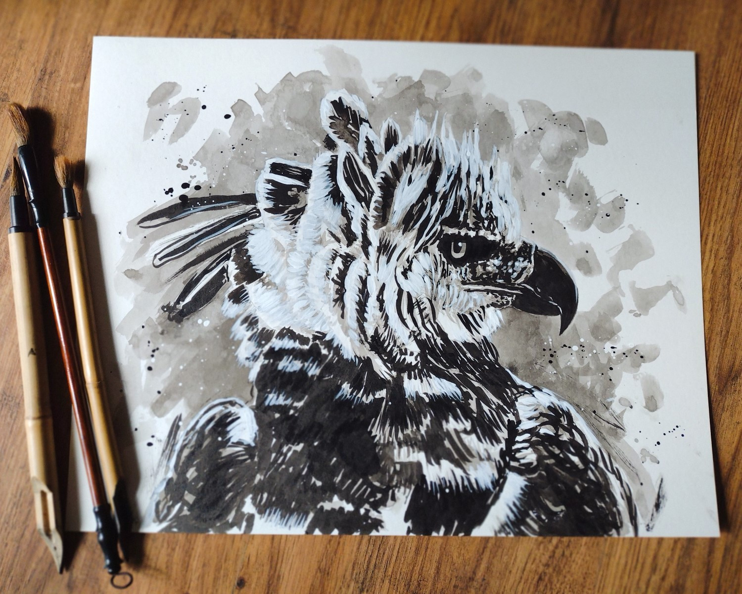 Ink wash painting of a harpy eagle, side profile, with some white gouache highlights. The drawing is laying on the floor with 3 brushes on the left side.