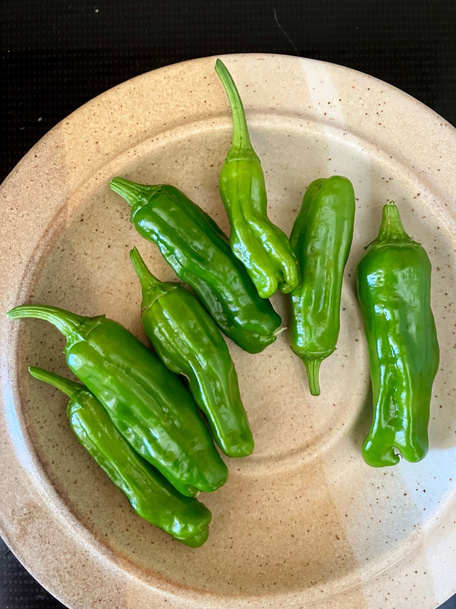 A small plate of about half dozen shishito peppers.