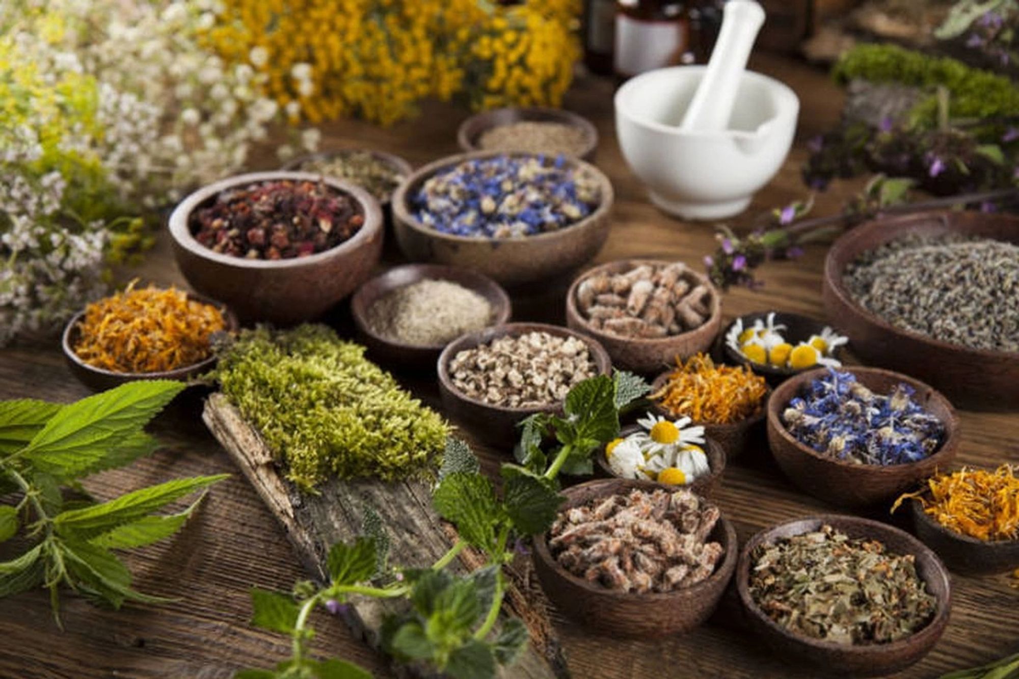 backyard healing herbs #herbal #herbalmedicine