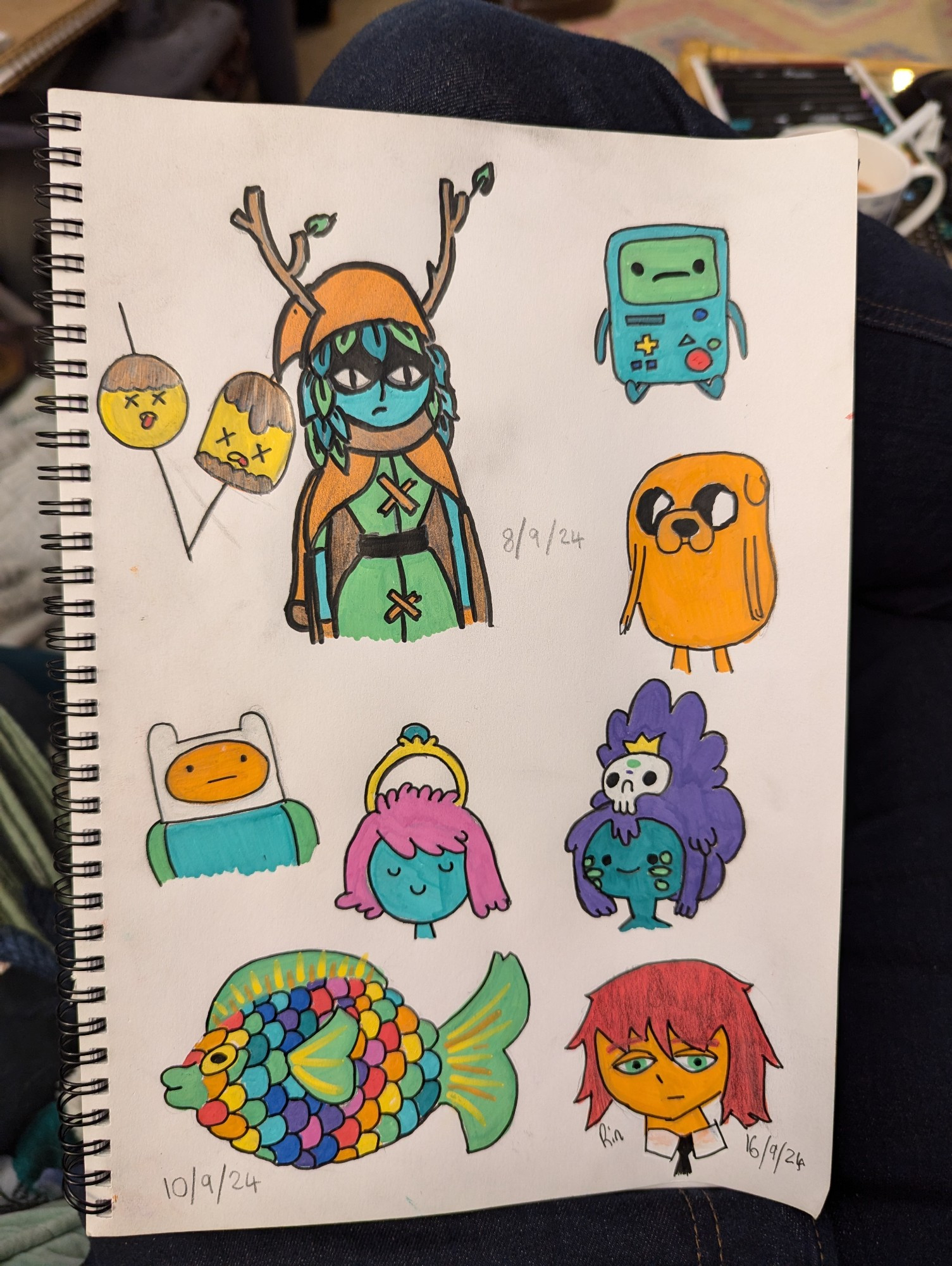 A few drawings. Huntress Wizard, BMO, Jake the Dog, Finn the Human, Engagement Ring Princess, Jungle Princess, the little candy thingies from Marceline's rock shirt. A multicoloured fish, and Rin Tezuka from Katawa Shoujo.