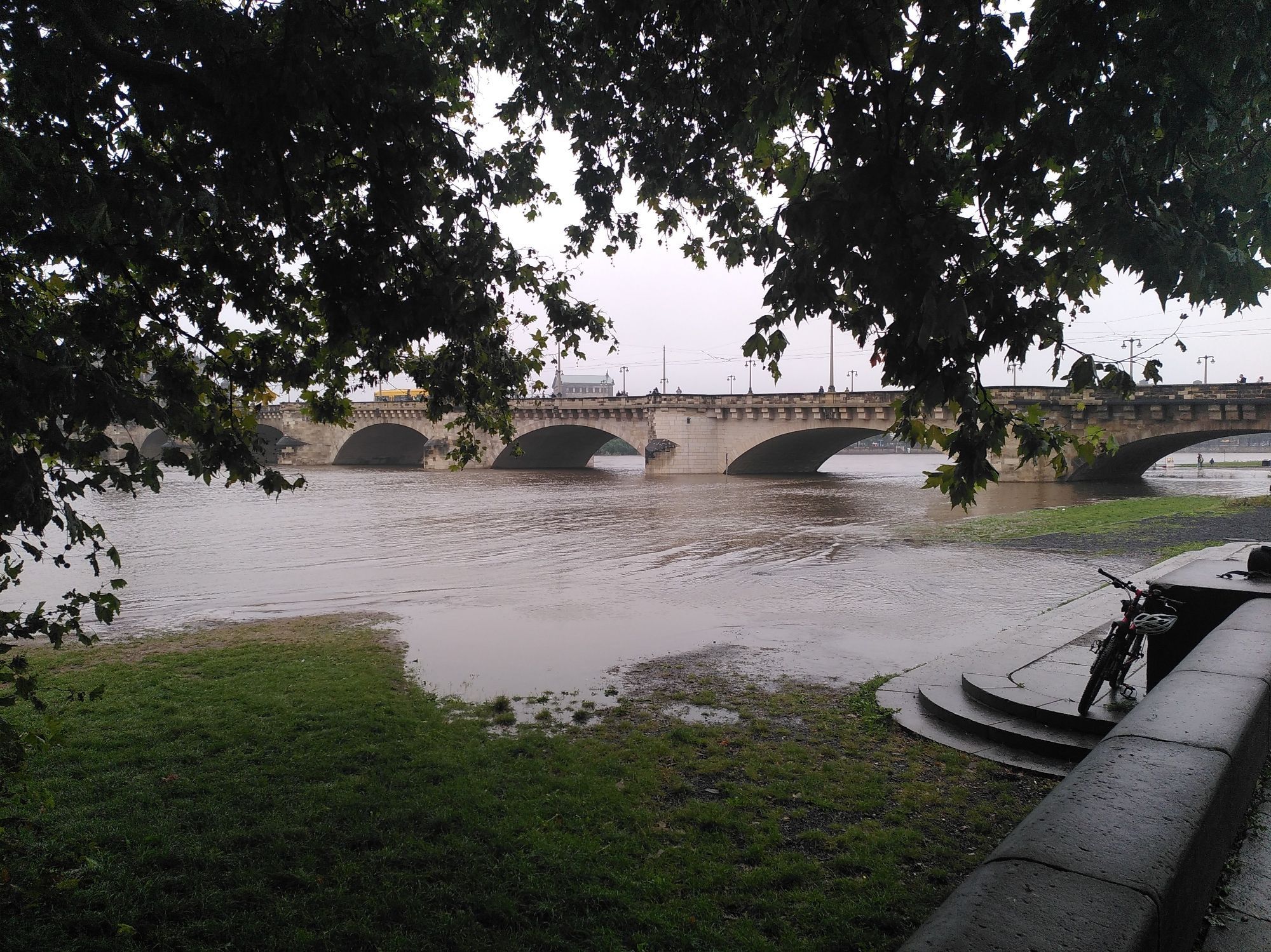 Blick auf die Augustusbrücke in Dresden; die Elbwiesen sind überschwemmt.