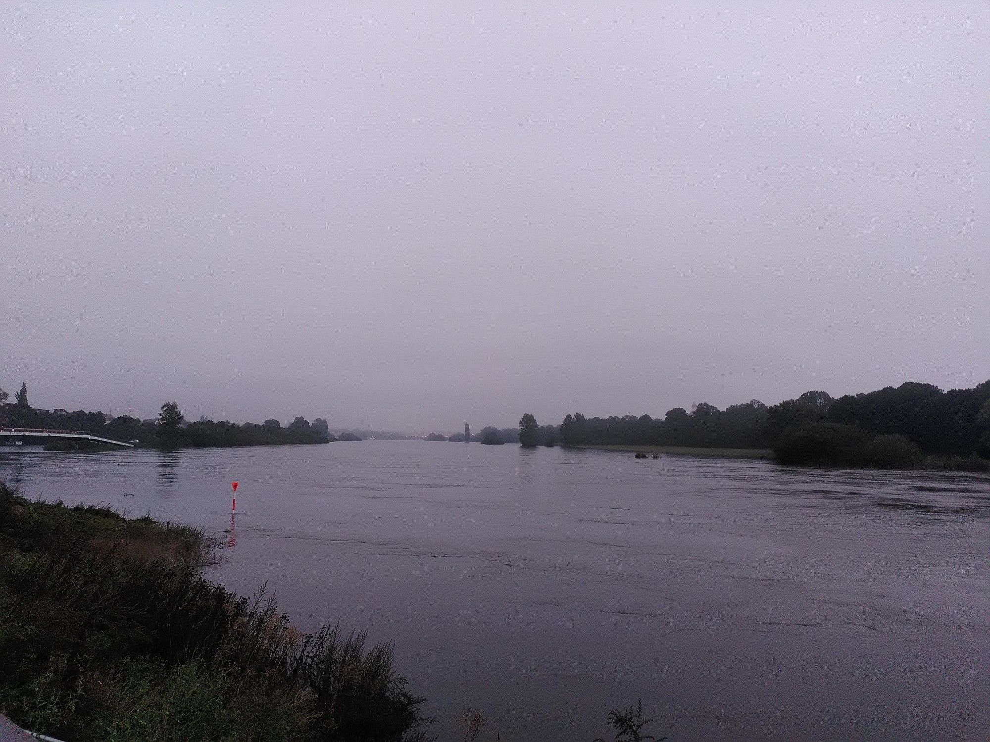 Elbe an der Molenbrücke in Dresden-Pieschen; sehr viel Wasser.