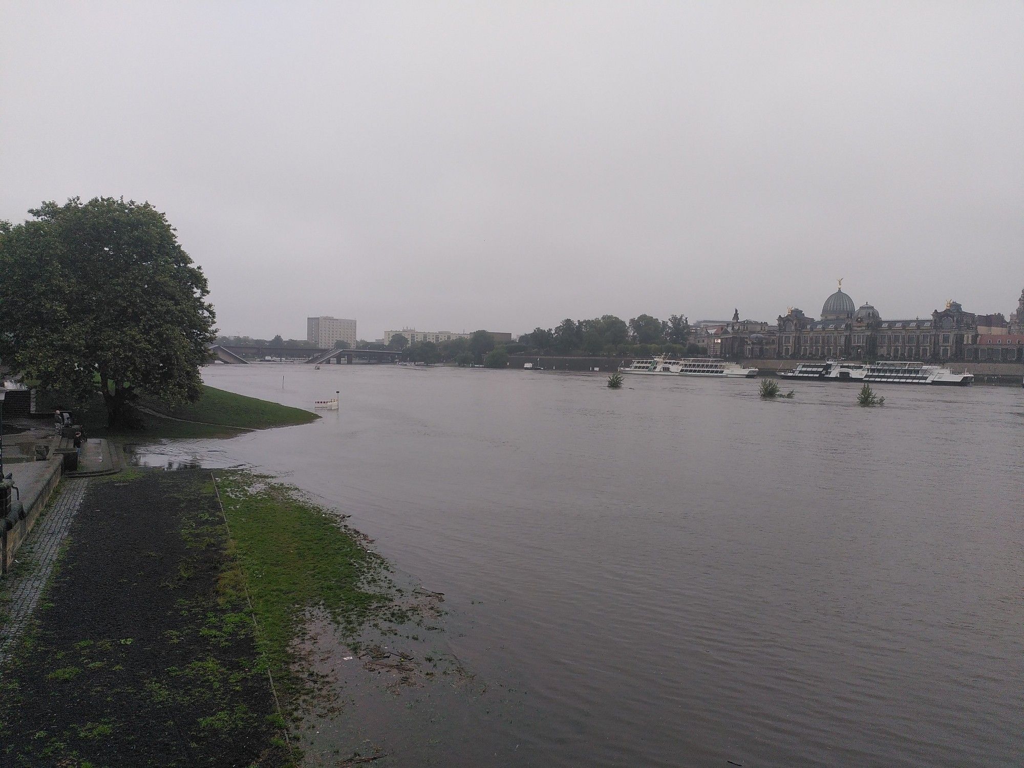 Blick von der Augustusbrücke in Dresden zur Carolabrücke; die Elbwiesen sind überschwemmt.