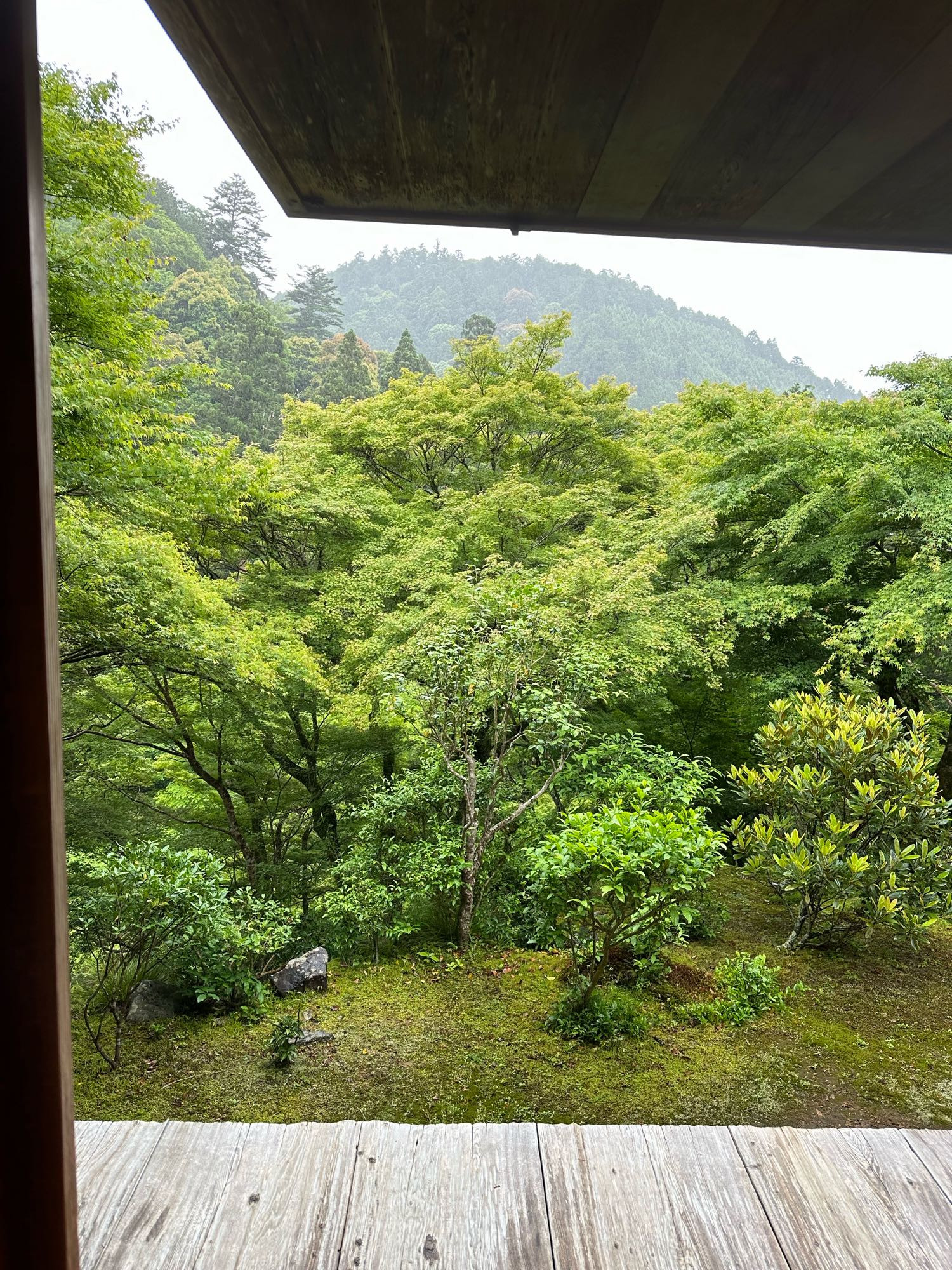 View of richly green trees in the middle ground with a treed mountain slope in the distance all framed by wooden architectural elements in the foreground.