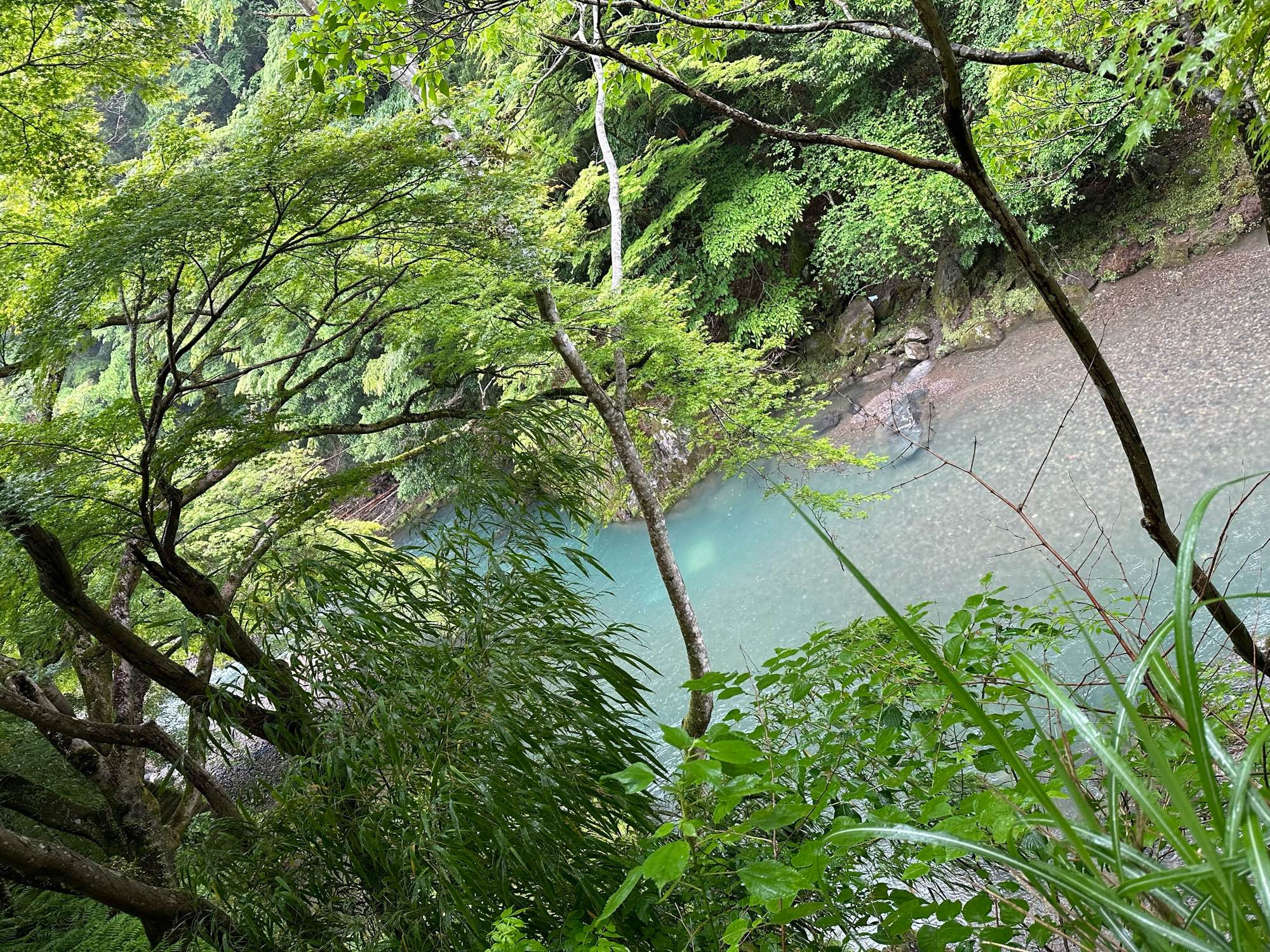 View through verdant trees down at a river with clear and somewhat turquoise water.