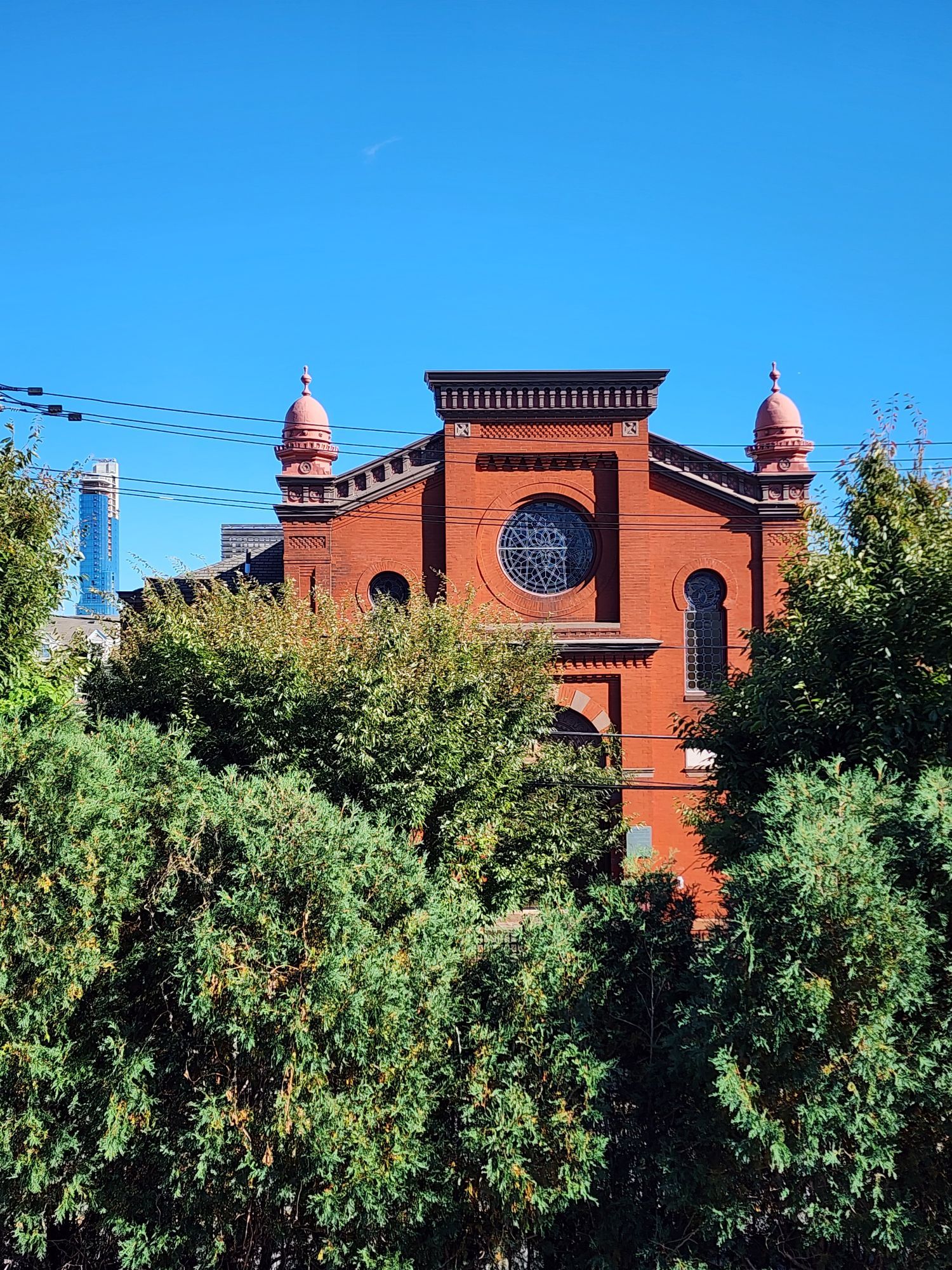 The Oheb Shalom Synagogue towers above the street trees around it.