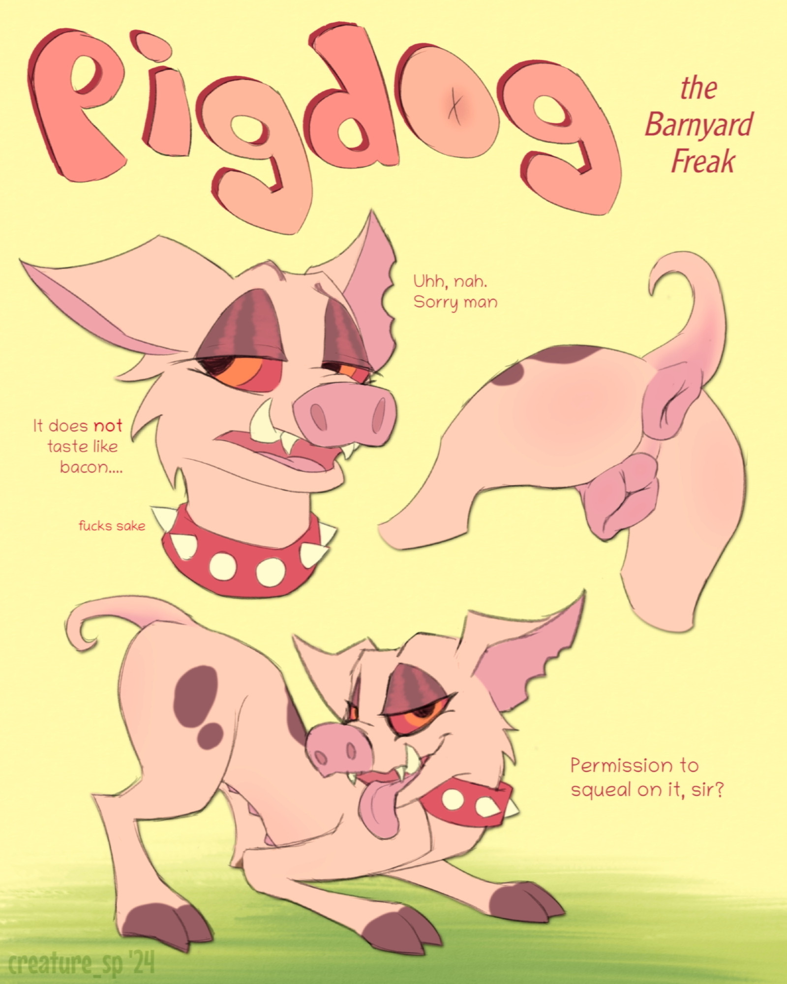 A NSFW reference sheet for a feral pig/dog hybrid character named Pigdog.