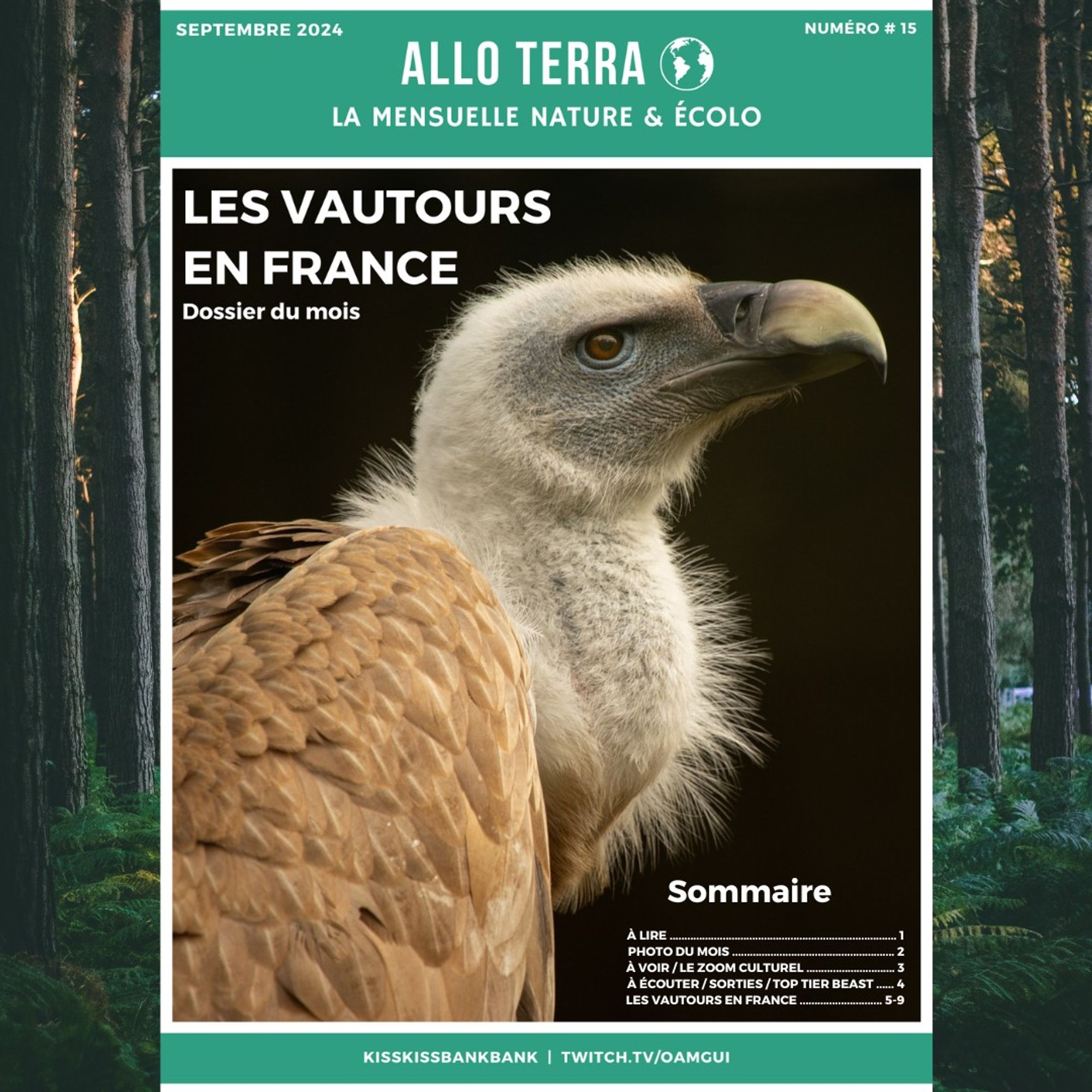 Couverture du numéro 15 du magazine "Allo Terra," daté de septembre 2024. La couverture met en avant une photographie en gros plan d'un vautour fauve, avec des plumes claires et un bec massif caractéristique. Le dossier du mois de cette édition est "Les Vautours en France".

En bas de la couverture, un sommaire liste les différentes sections du magazine : "À Lire," "Photo du Mois," "À Voir / Le Zoom Culturel," "À Écouter / Sorties / Top Tier Beast," et "Les Vautours en France." 

Le bas de la couverture affiche également les mentions de "KissKissBankBank" et "twitch.tv/oamgui." 

En arrière-plan, sur les bords de l'image, on distingue des troncs d'arbres.