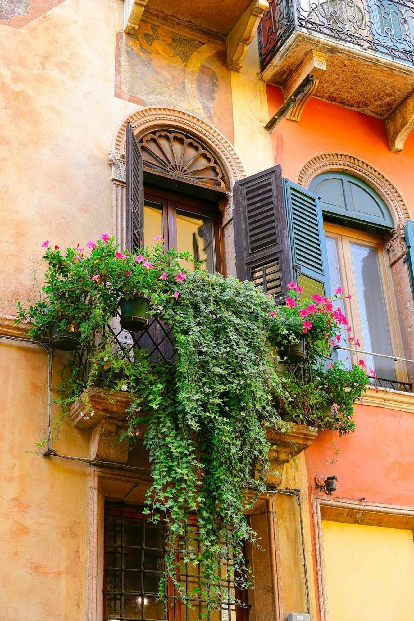 A magnificent old orange and yellow façade, with , in the middle, large rounded and worked windows.
At the central window on the left (on the pic), there is a balcony with falling ivy and pink flowers.
📸: Francesco Altamura.