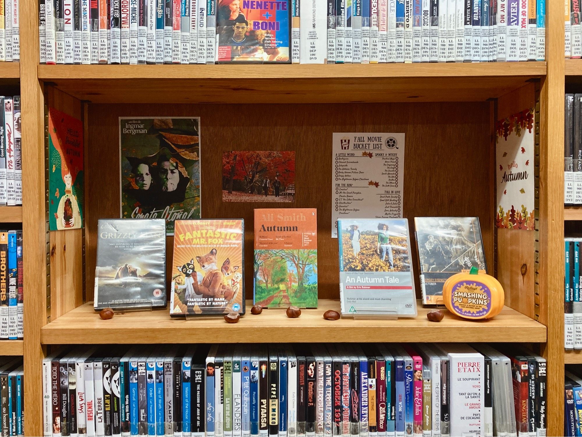 DVD display featuring Grizzly Man, Fantastic Mr Fox, Ali Smith’s ‘Autumn’ (book), An Autumn Tale, Eisenstein’s October, and Ridley’s Smashing Pumpkins card game.