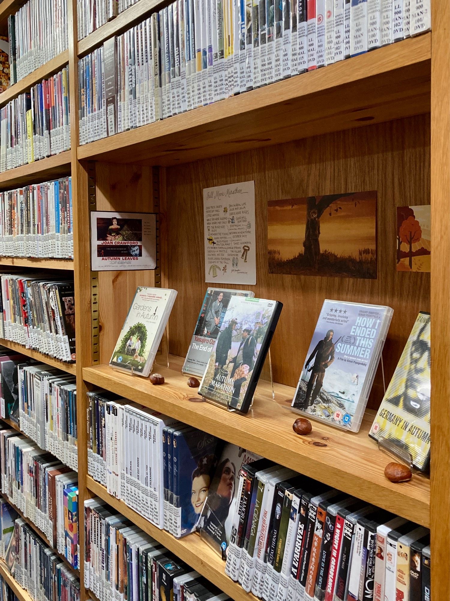 DVD display featuring Gardens in Autumn, Ozu’s The End of Summer, Autumn Marathon, How I Ended This Summer, and Germany in Autumn.