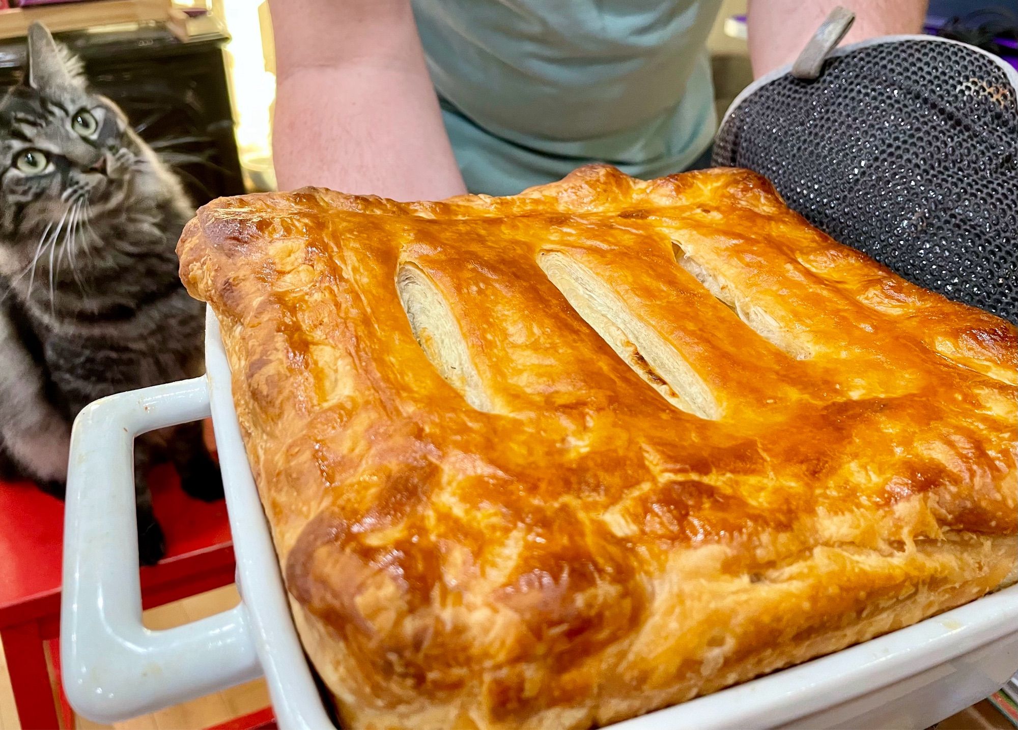 A golden crusted baked chicken pot pie in square white ceramic dish with squares handles. Birthday guy is holding it out for the photo  while a fluffy grey tabby in the back left looks offended it wasn’t offered to him